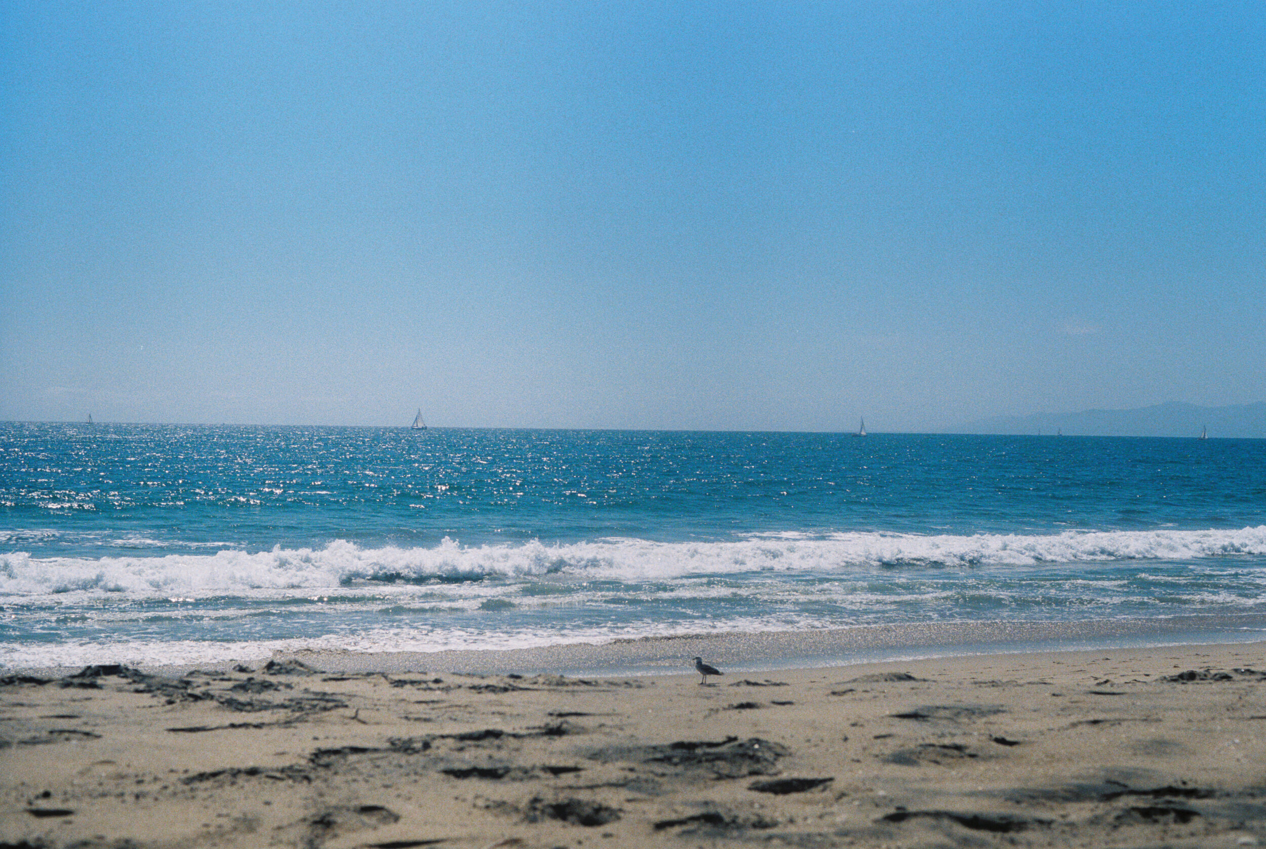 parker031555-R1-069-33.jpg
