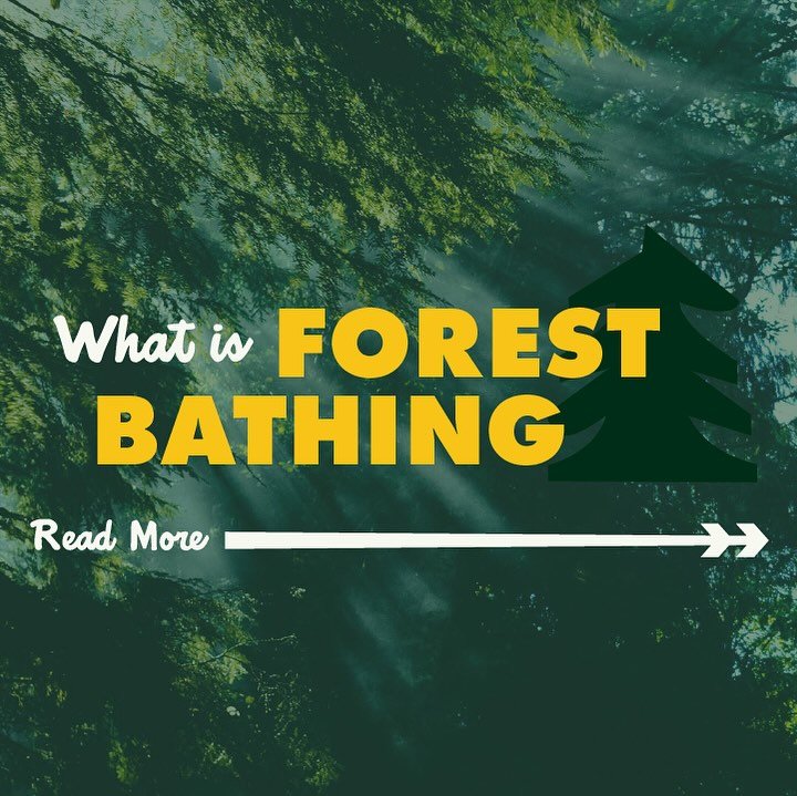 Does forest bathing sound like a great way to enjoy nature in a new, relaxing way? Then join Johanna as she guides you through the wonderful world of nature. Monday April 22 4-7pm. Tickets available with link in bio.