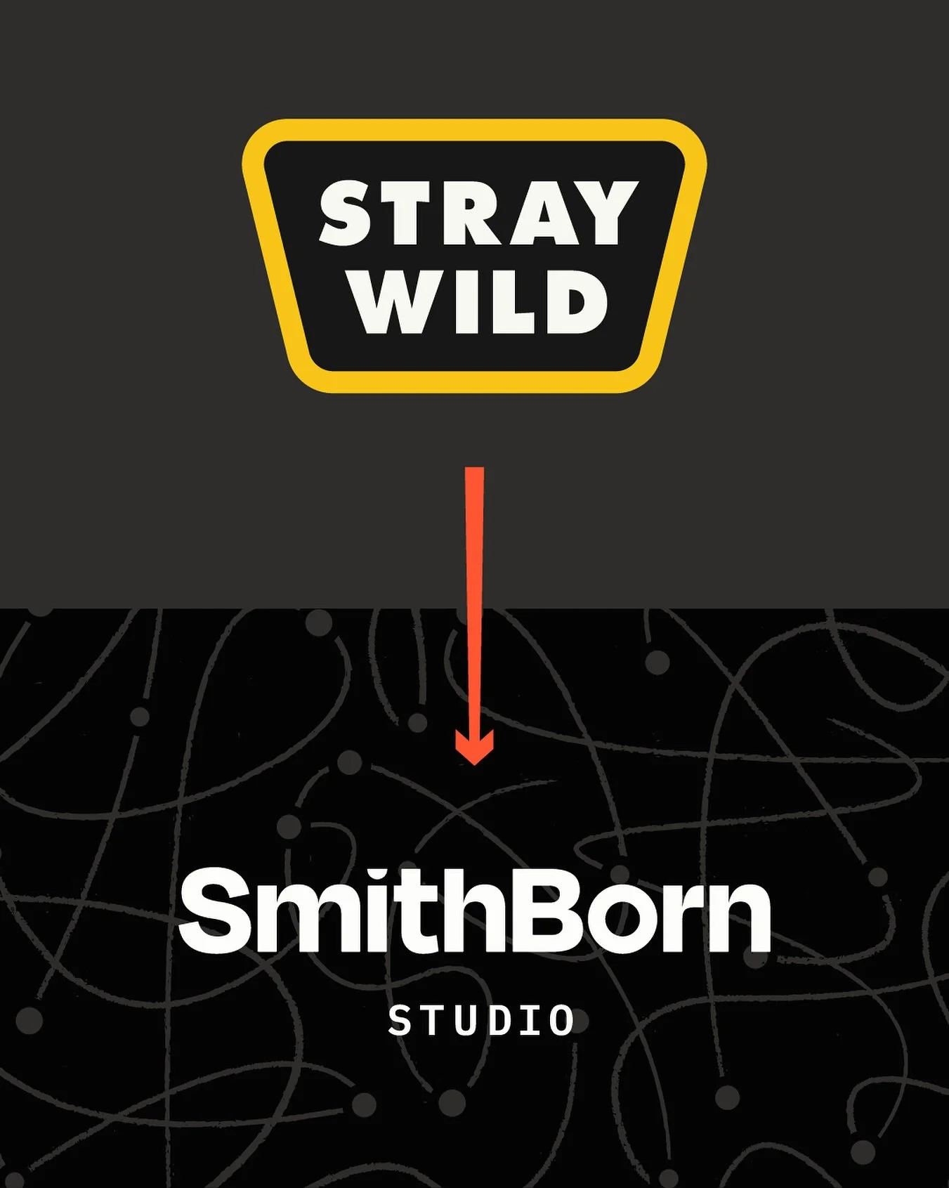 Every entrepreneur eventually reaches a crossroads, the moment when you ask if the brand you built still reflects who you are. Does it feel right to keep going?
For the past year, I’ve been sitting with that question. I built Stray Wild from a