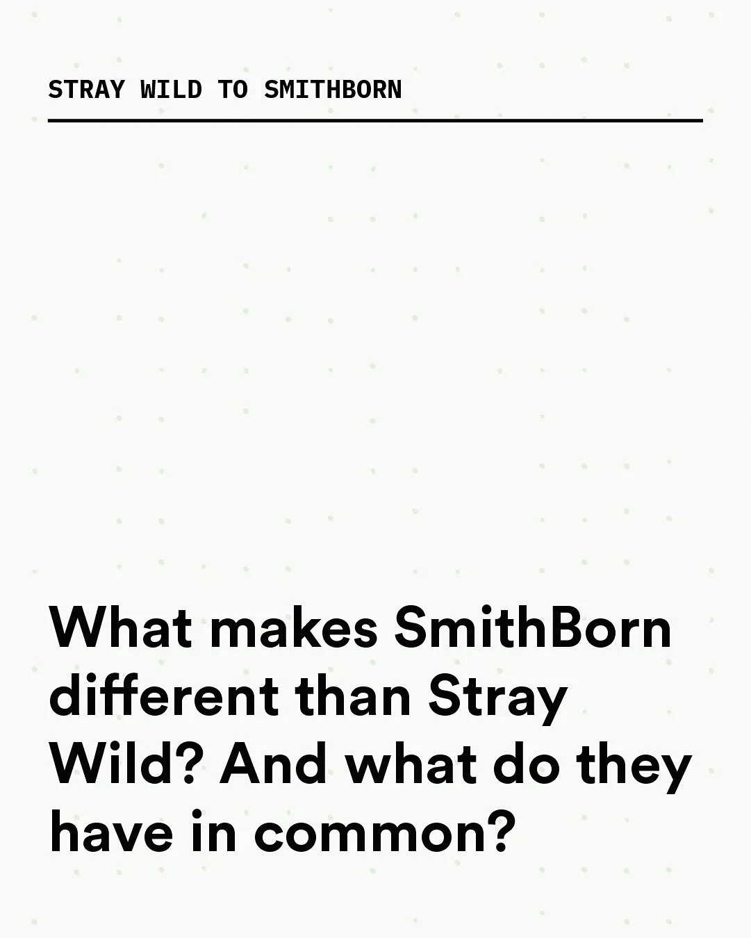 So from a birds-eye view, what makes SmithBorn different from Stray Wild? And what do they share in common?