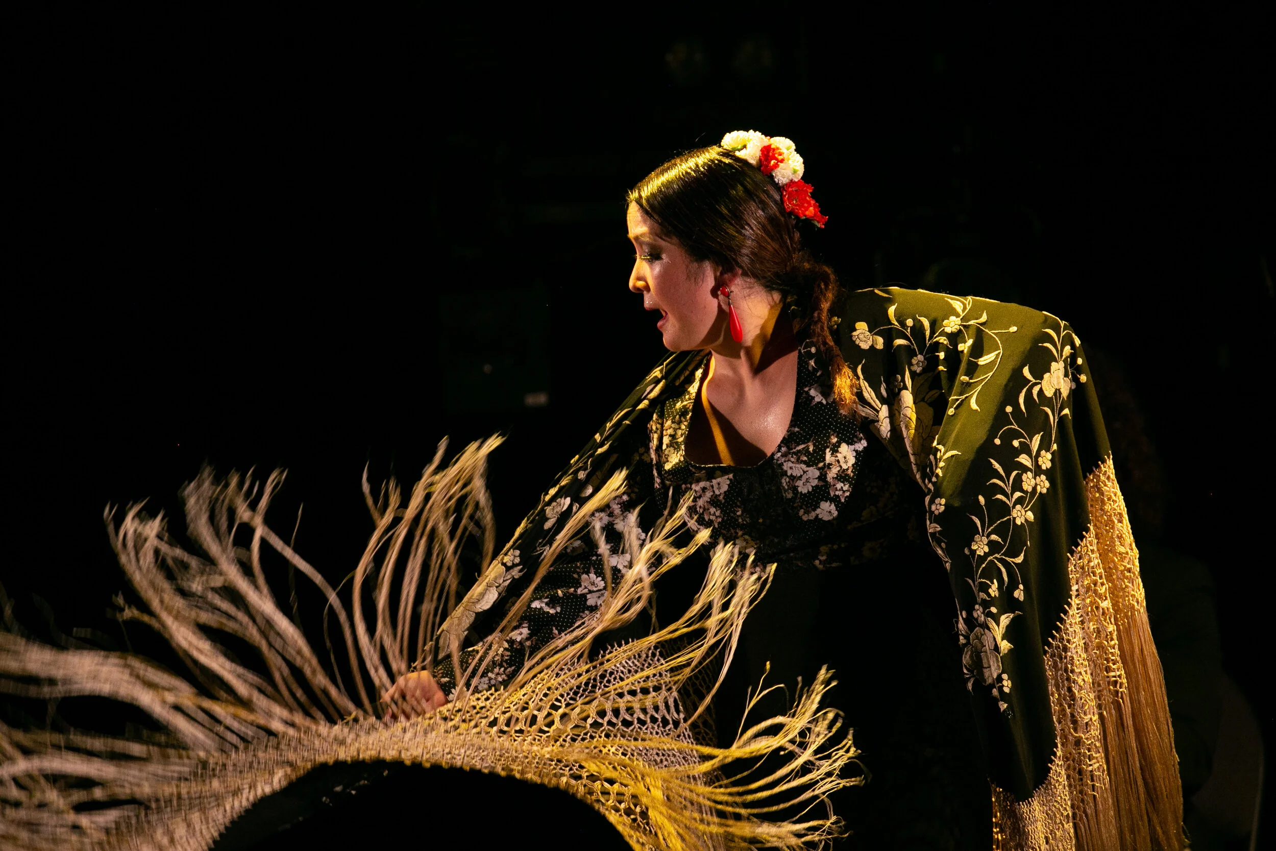 Photos — La Paloma