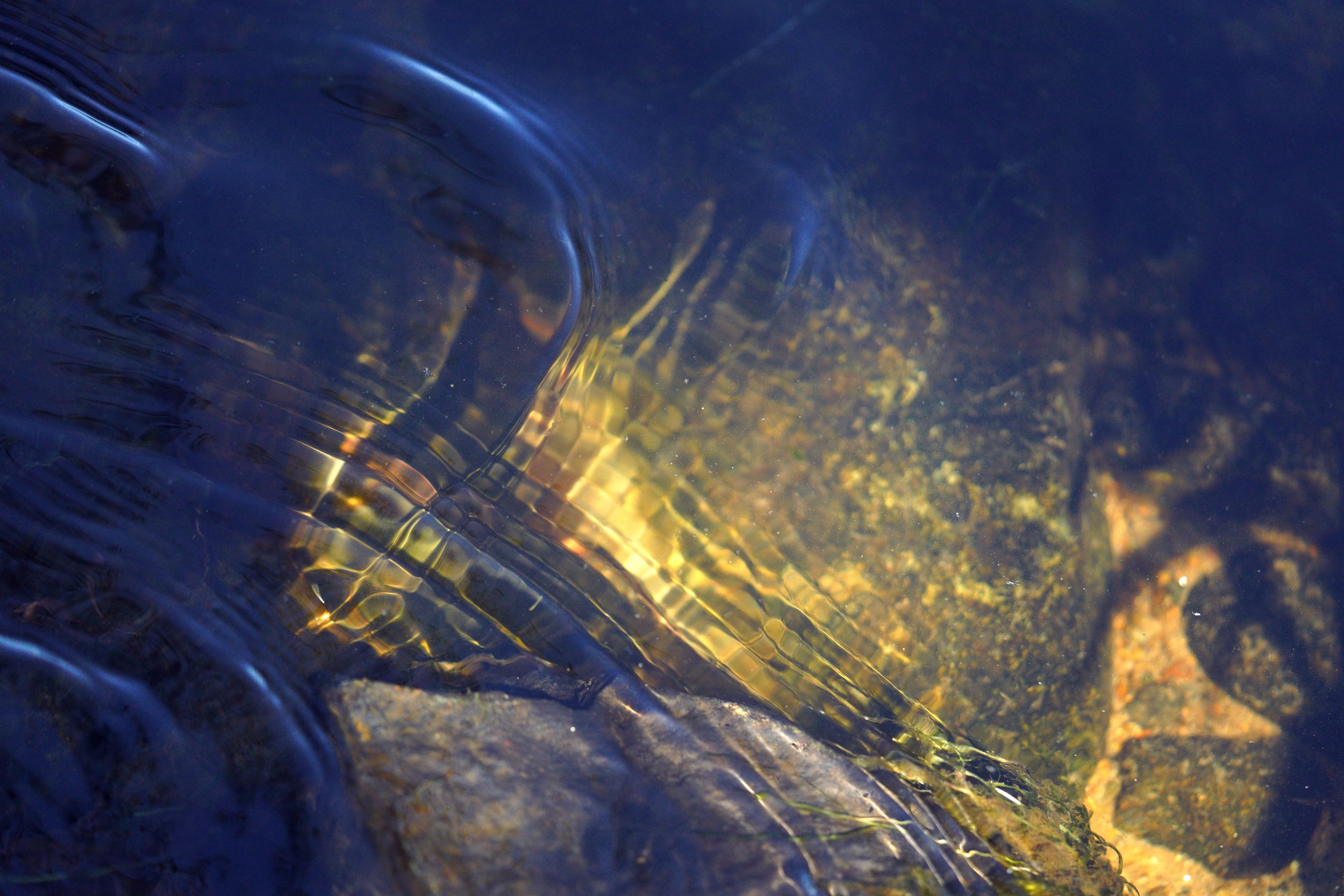 hornpond105.jpg