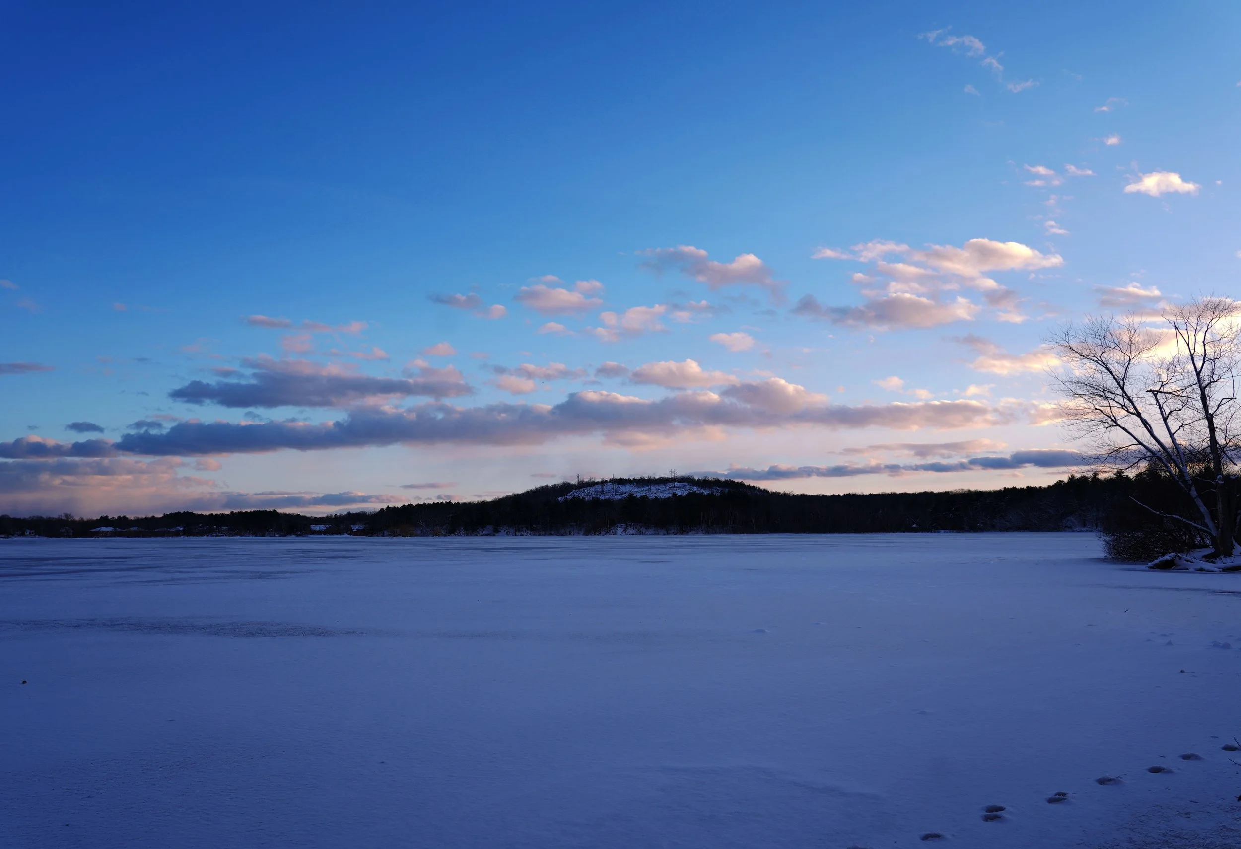 winter25:31.jpg