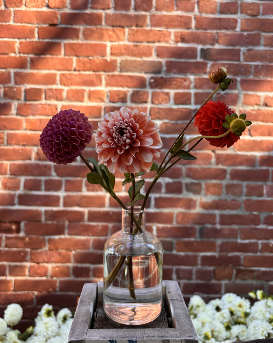 Build Your Own Dahlia Bud Vase | Harvest in the Harbor | Sag 2nd Saturdays