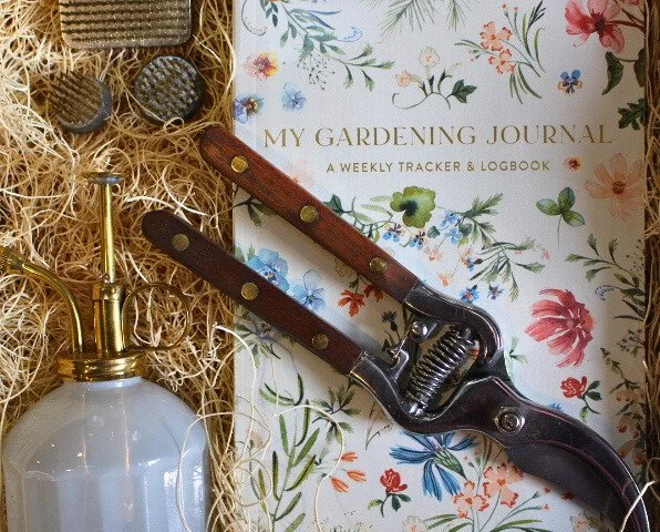 Collections of Beauty