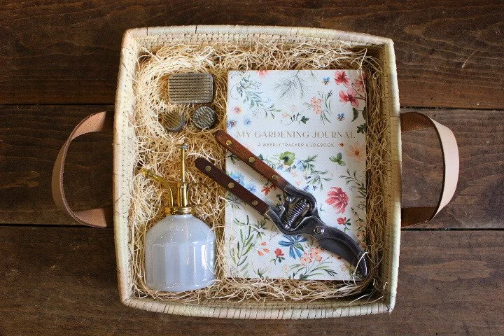 Where Things Take Root