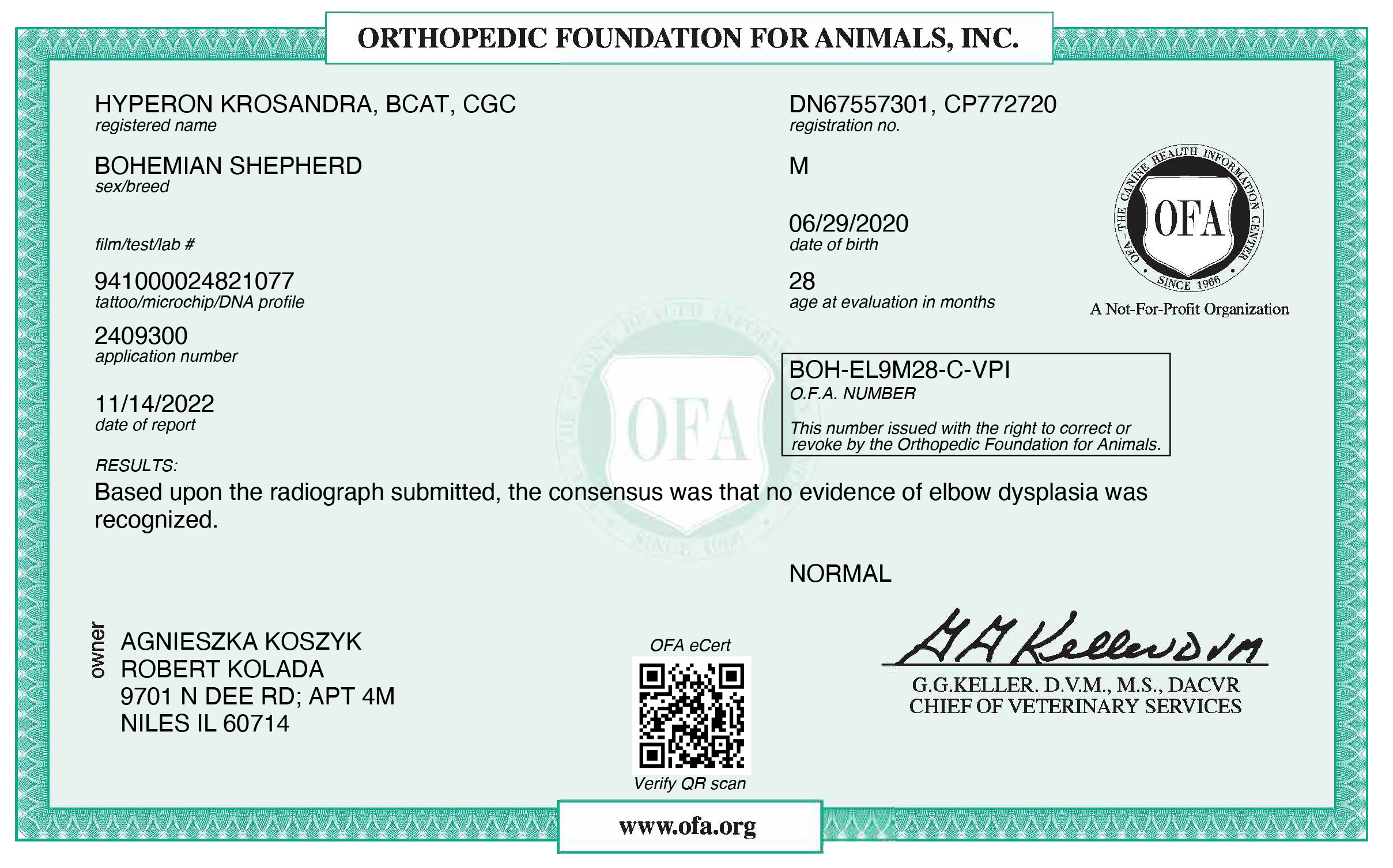 OFA elbow dysplasia screening test result