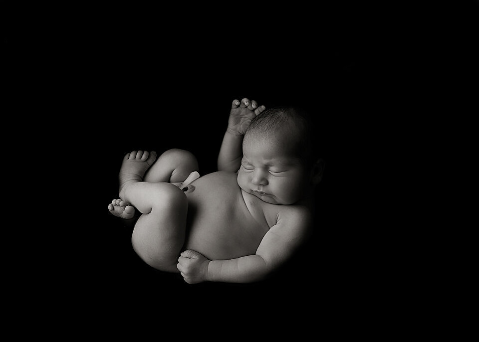 black and white newborn photo Geelong