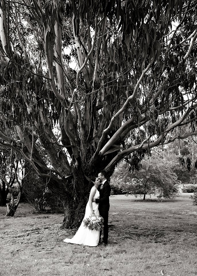 black and white wedding photo geelong