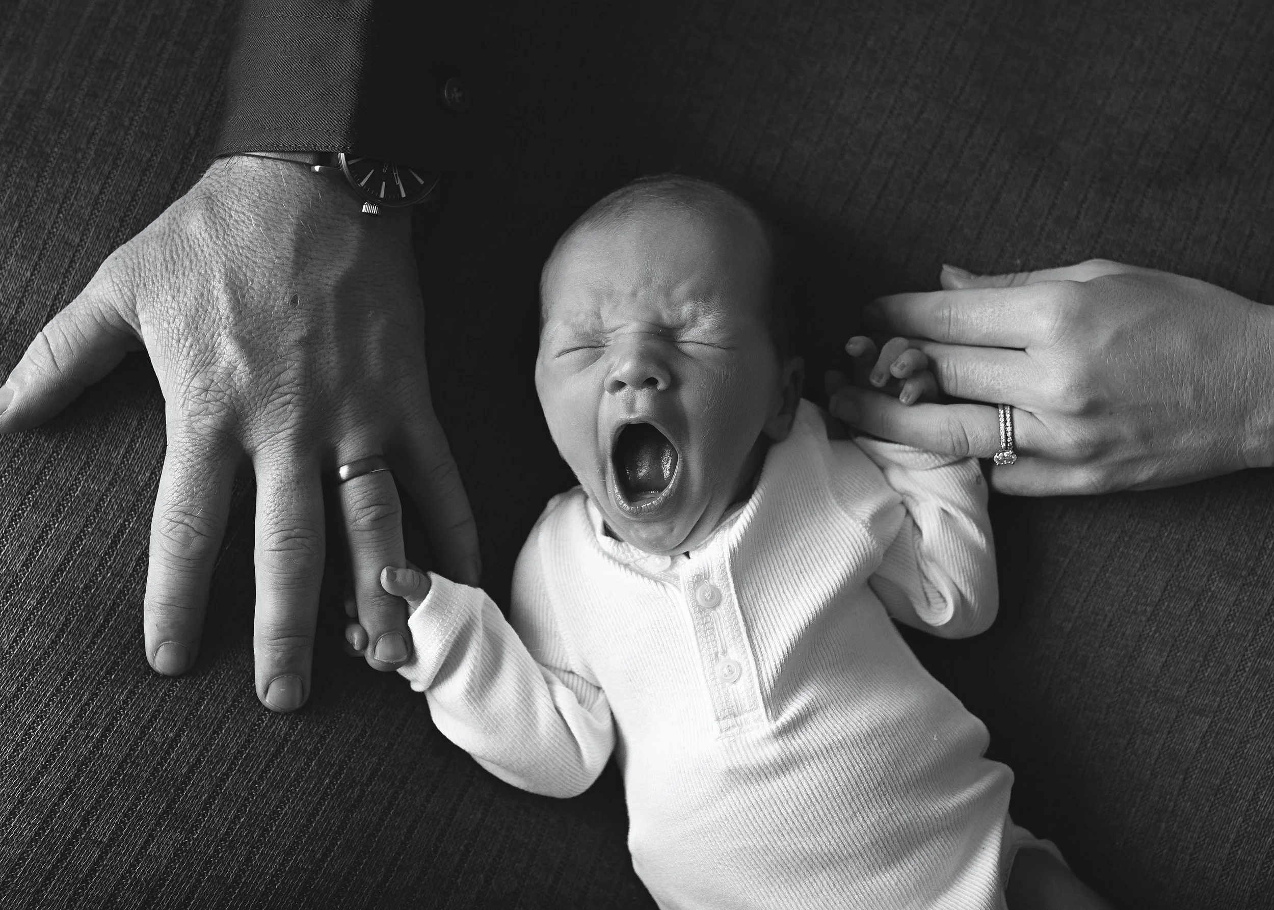 newborn photo geelong photographer