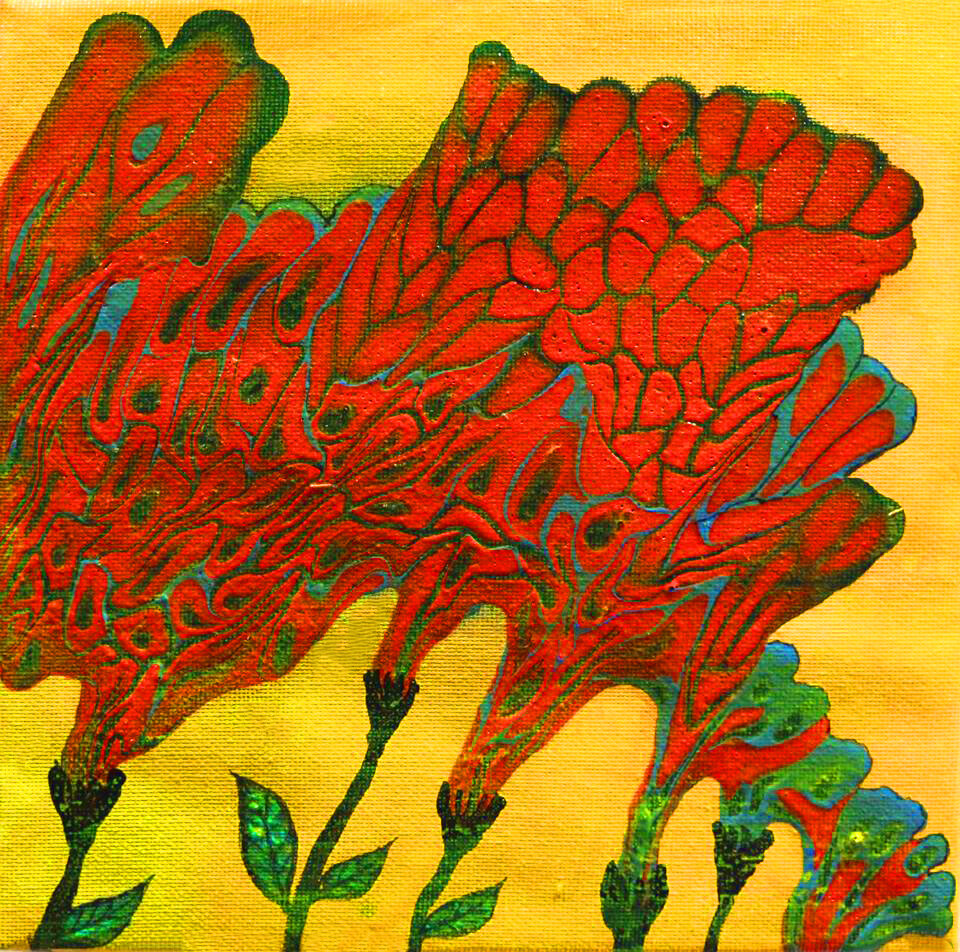 Waratah
200 x 200mm
Acrylic on canvas
2015. Private Collection, Canberra ACT