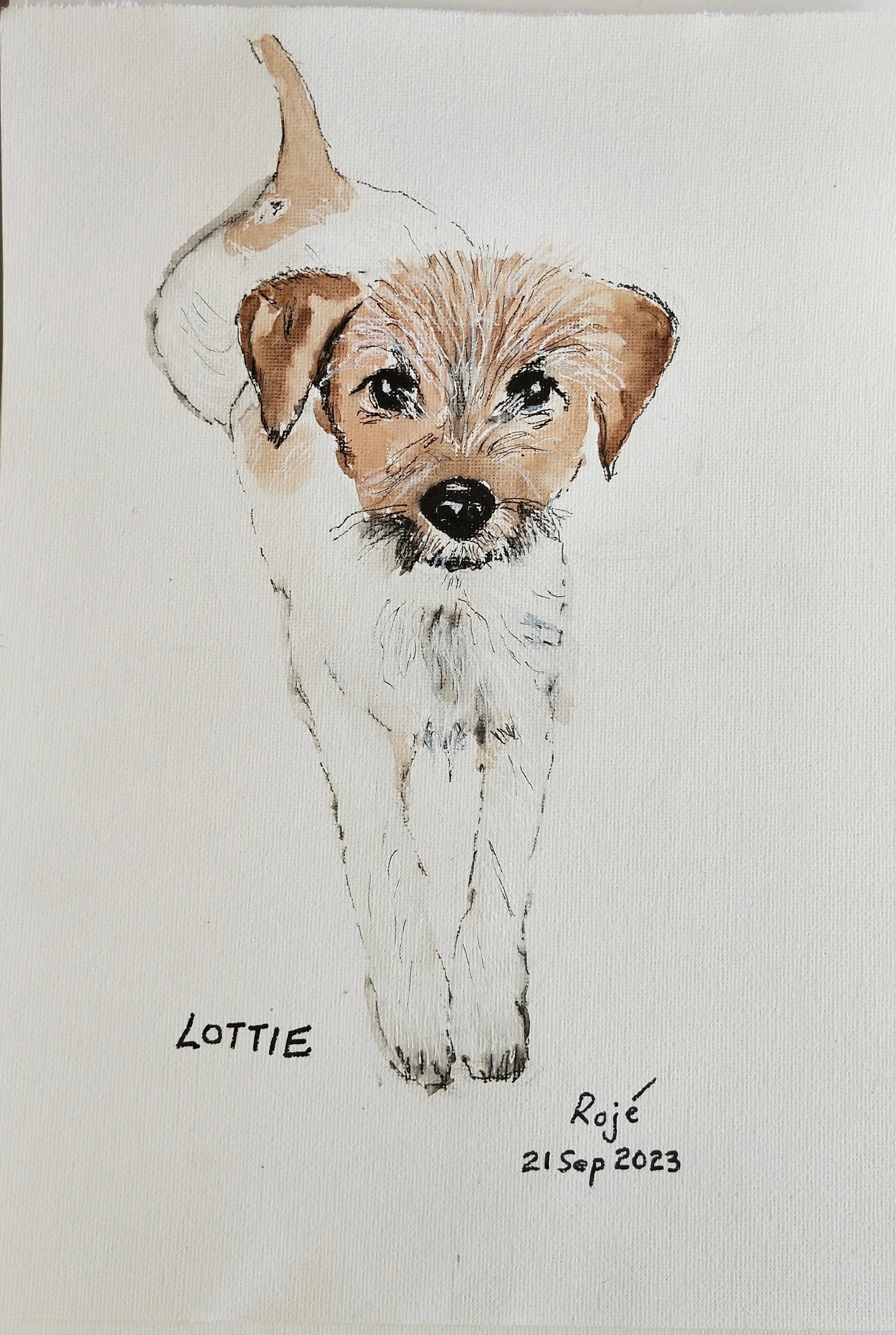 Lottie 2023. Watercolour and Fineliner Pen on paper. Private Collection, Thornton NSW