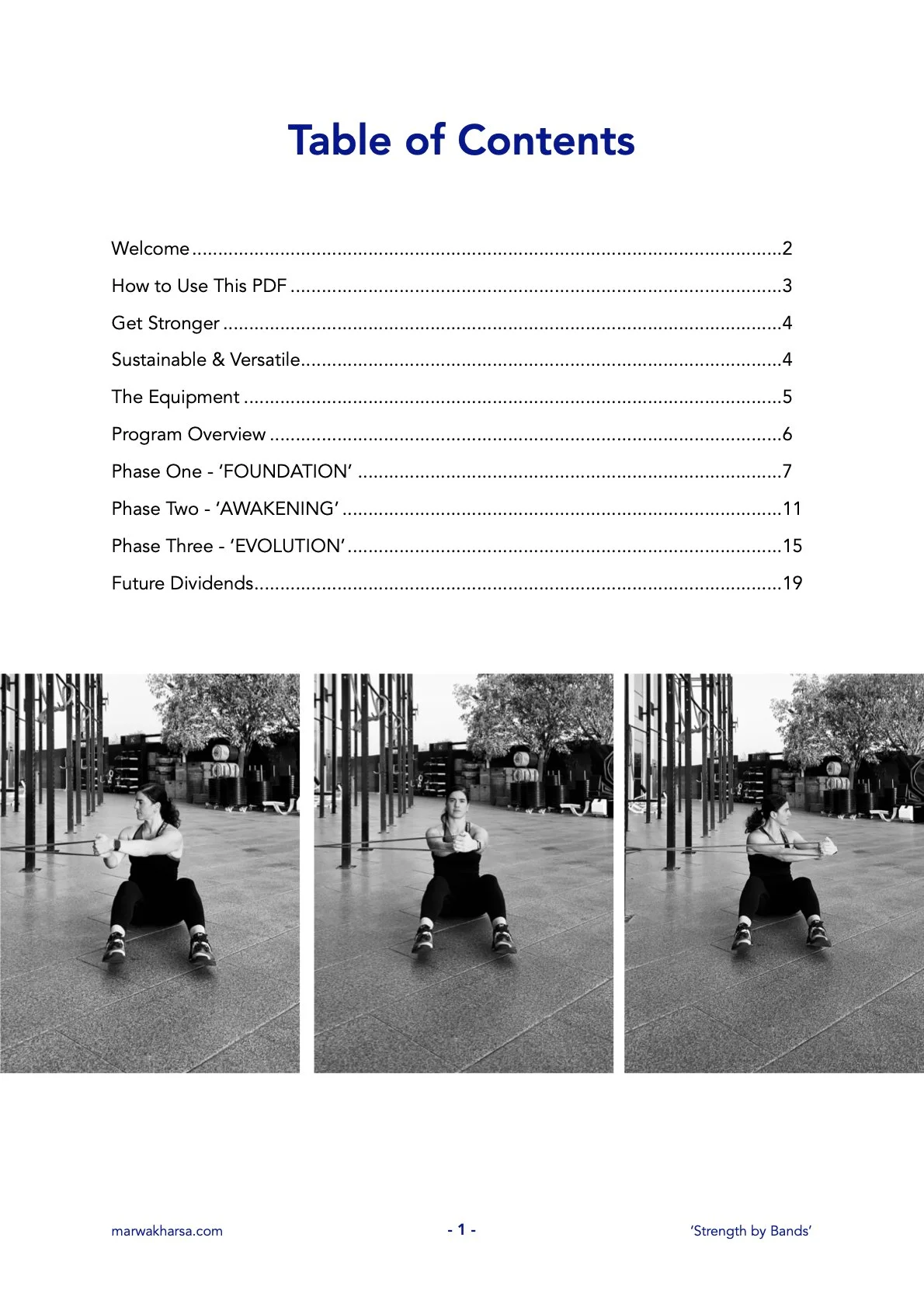 strength by bands 12.10.25.2.jpeg