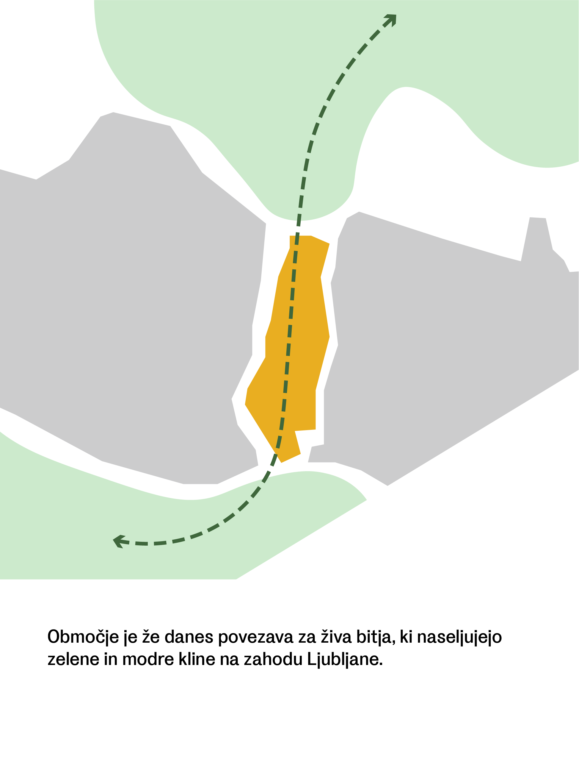 Delovna za objavo-18.png