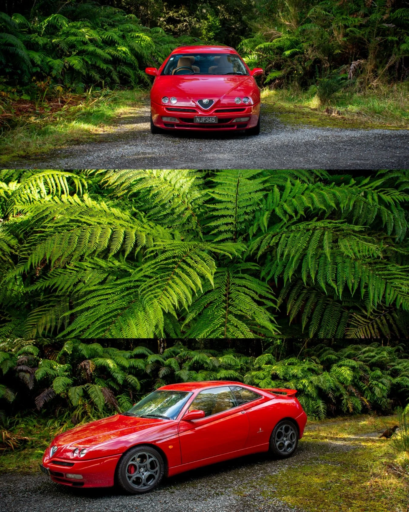Good day out in the Alfa, Somewhere along State Highway 73, between Arthur&rsquo;s Pass and Greymouth.

-
-
-

#alfagtv916 #bussov6 #greymouthnz #arthurspass #alfav6