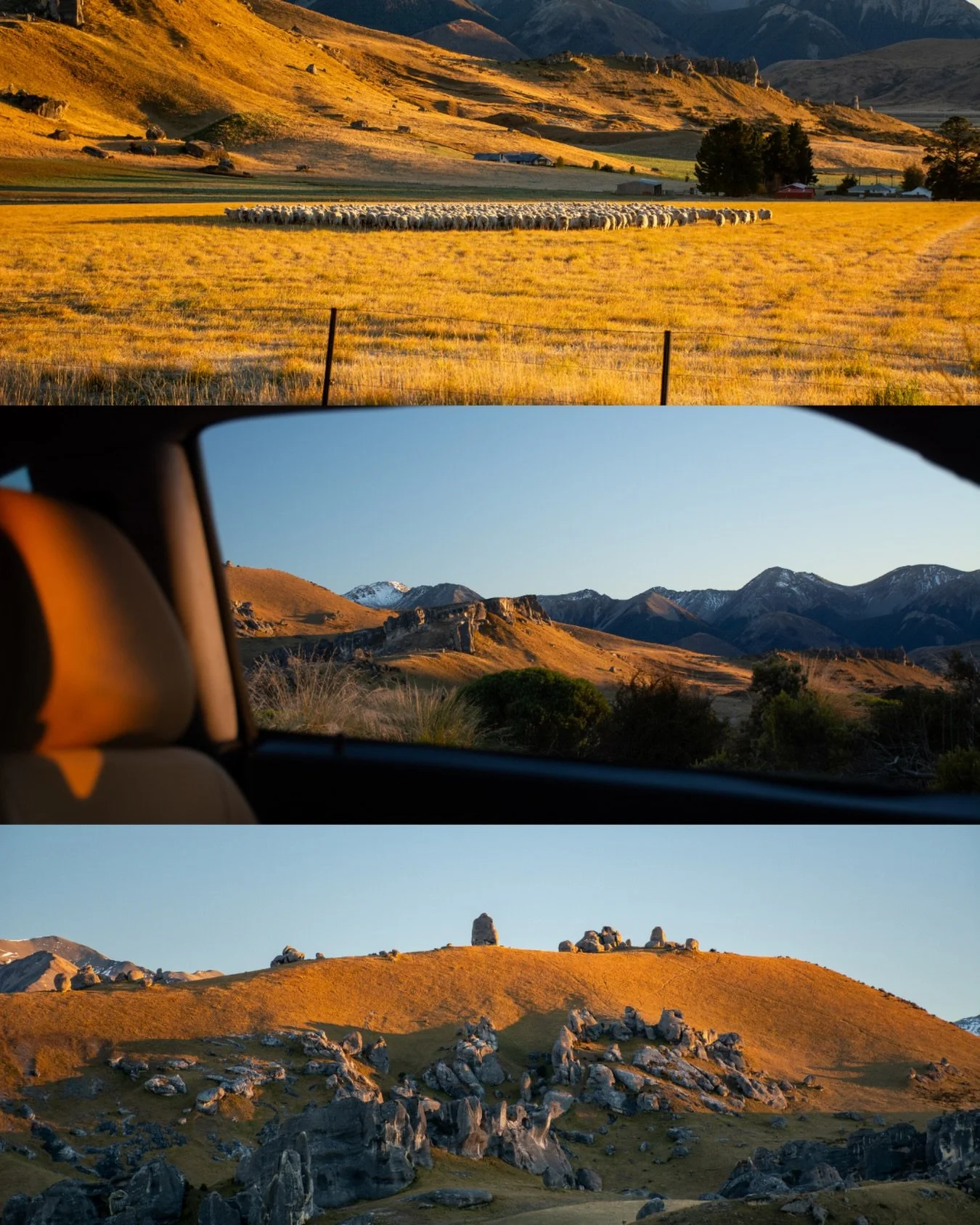 First light at Castle Hill. 

-
-
-

#castlehillnz #goldenhourglow #southislandnz #alfaromeogtv #newzealandlandscape