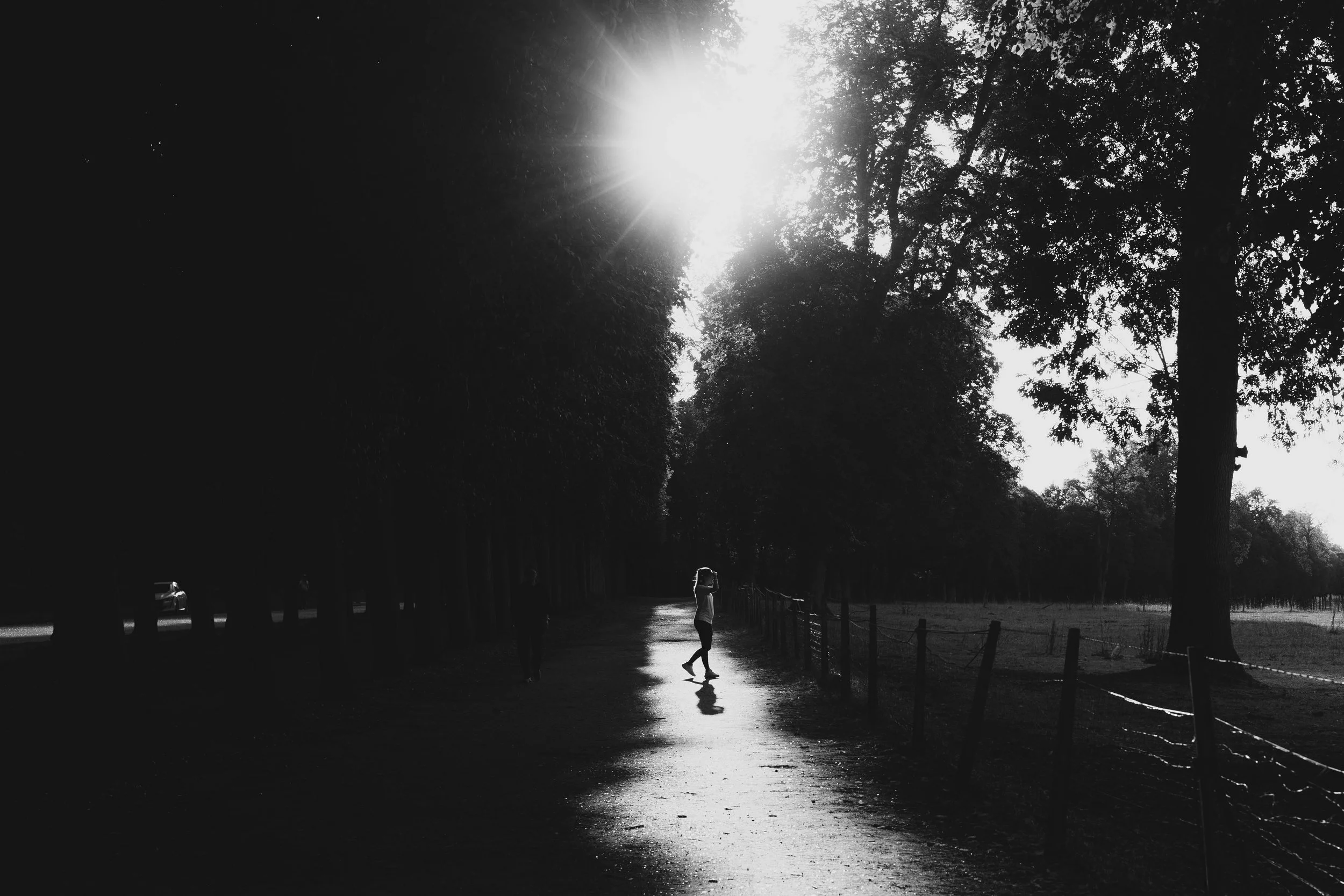 5C5A4919.jpg