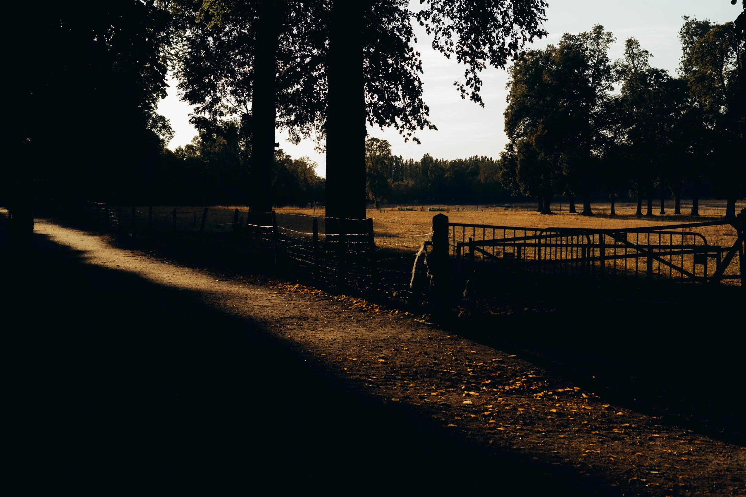 5C5A4918-2.jpg
