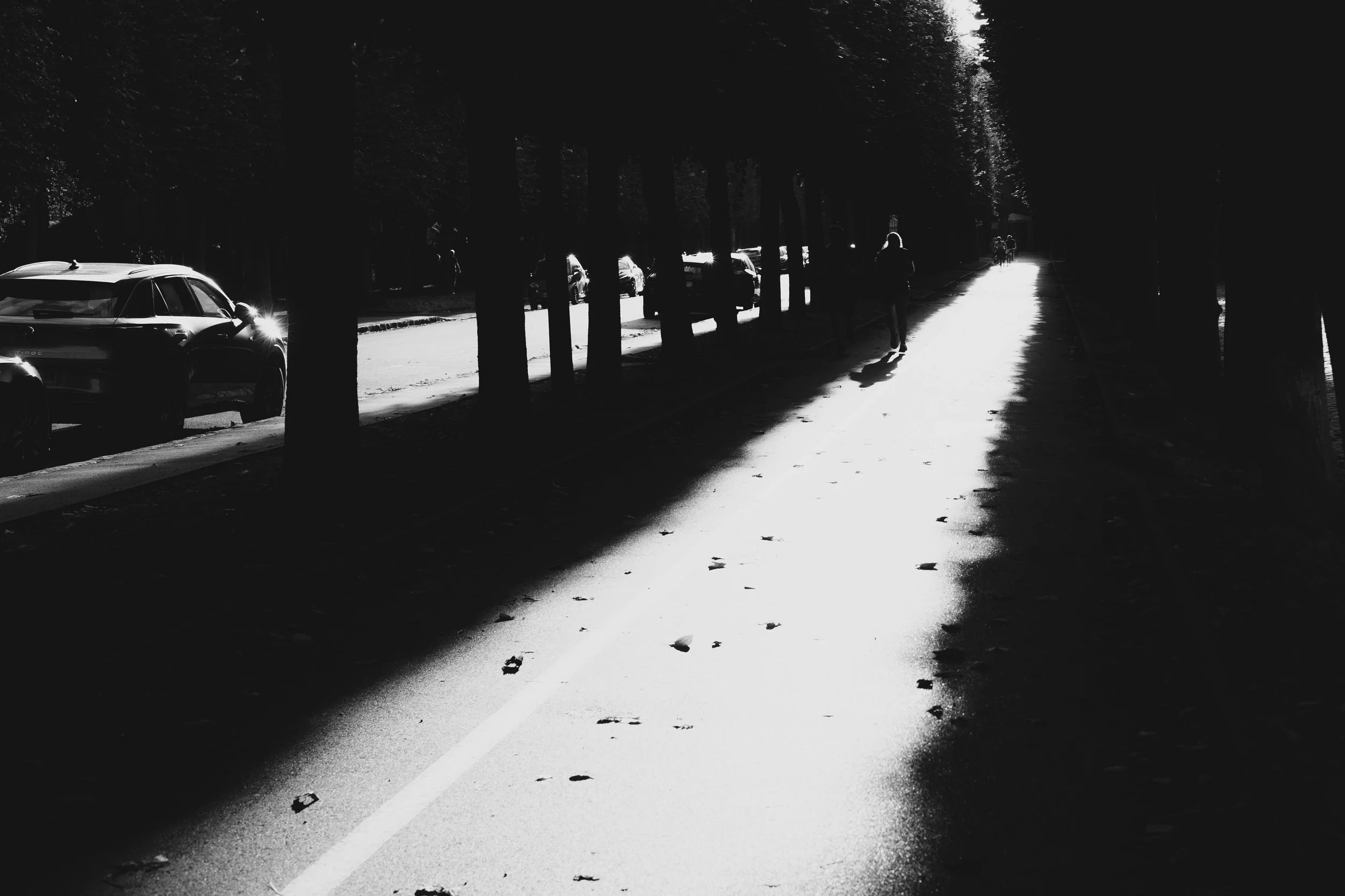 5C5A4915.jpg
