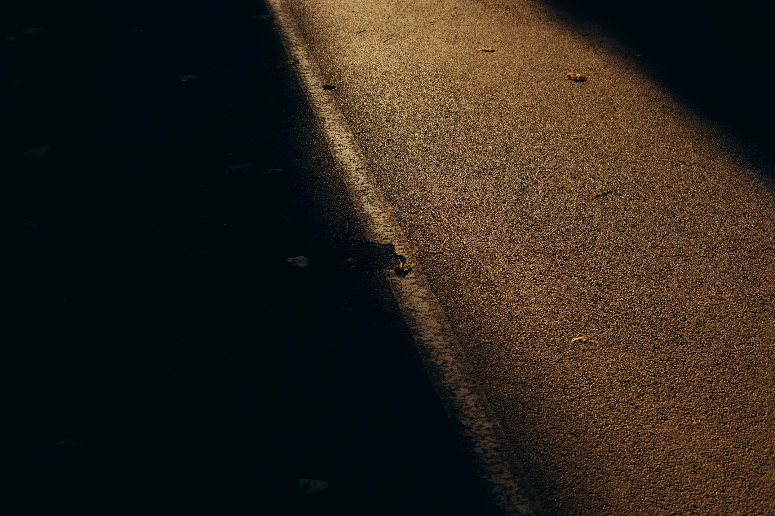 5C5A4913-2.jpg