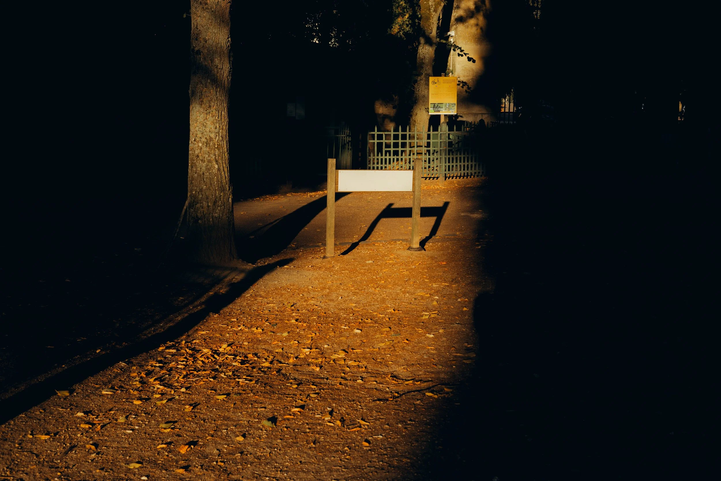 5C5A4920.jpg