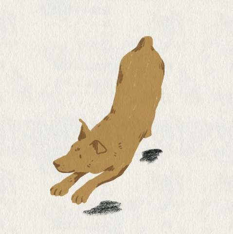 Untitled_Artwork 5.gif