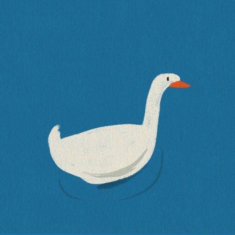 Untitled_Artwork 8.gif