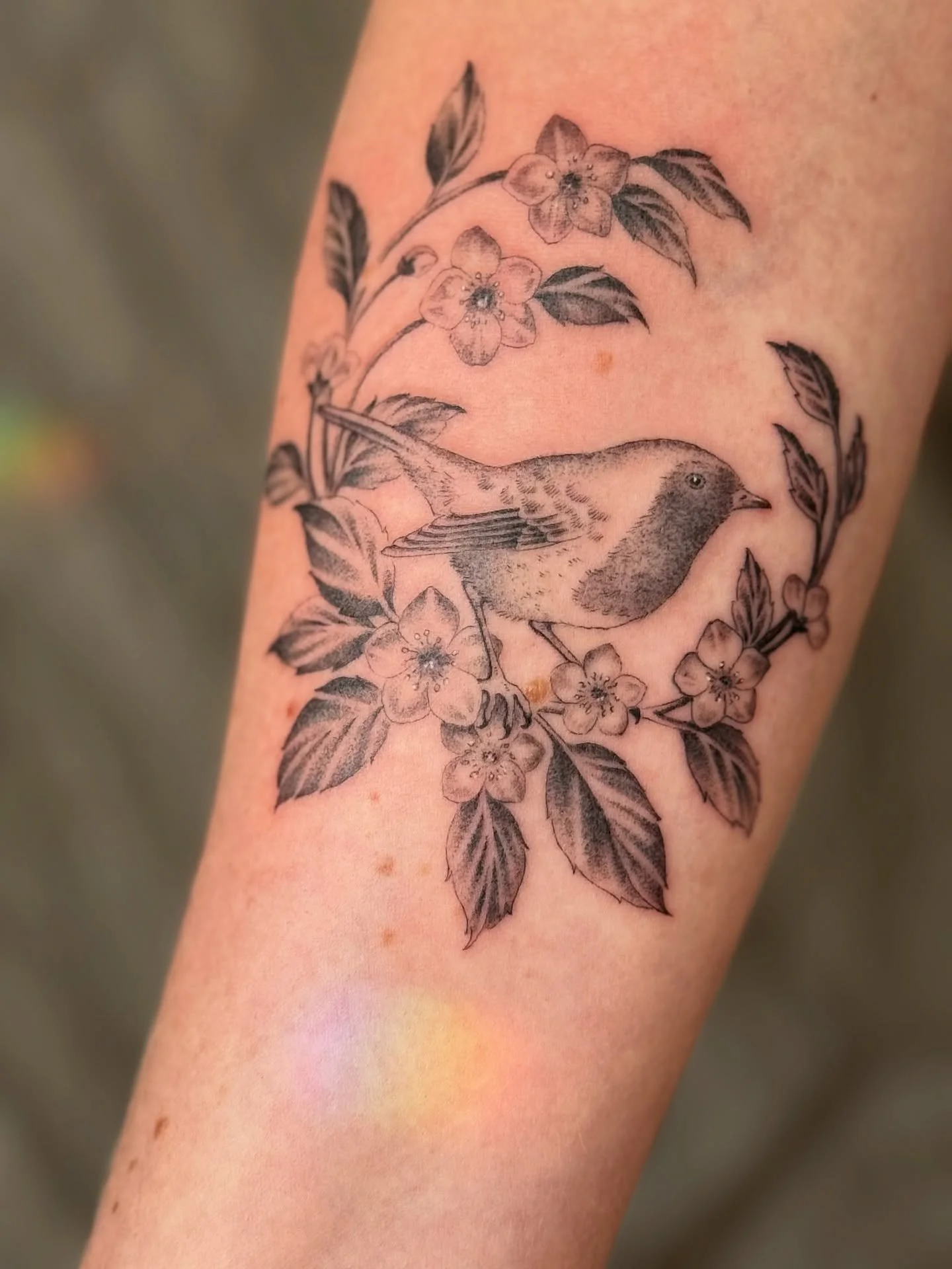 lil robin from a few months ago! 🌸✨thank you so much again sophie, i loved making this one for you 🥰 i&rsquo;m very behind on posting, oops!! 

📍@botanica.tattoo 
🍒 booking enquiry form linked in bio ~ my books are always open and i currently hav