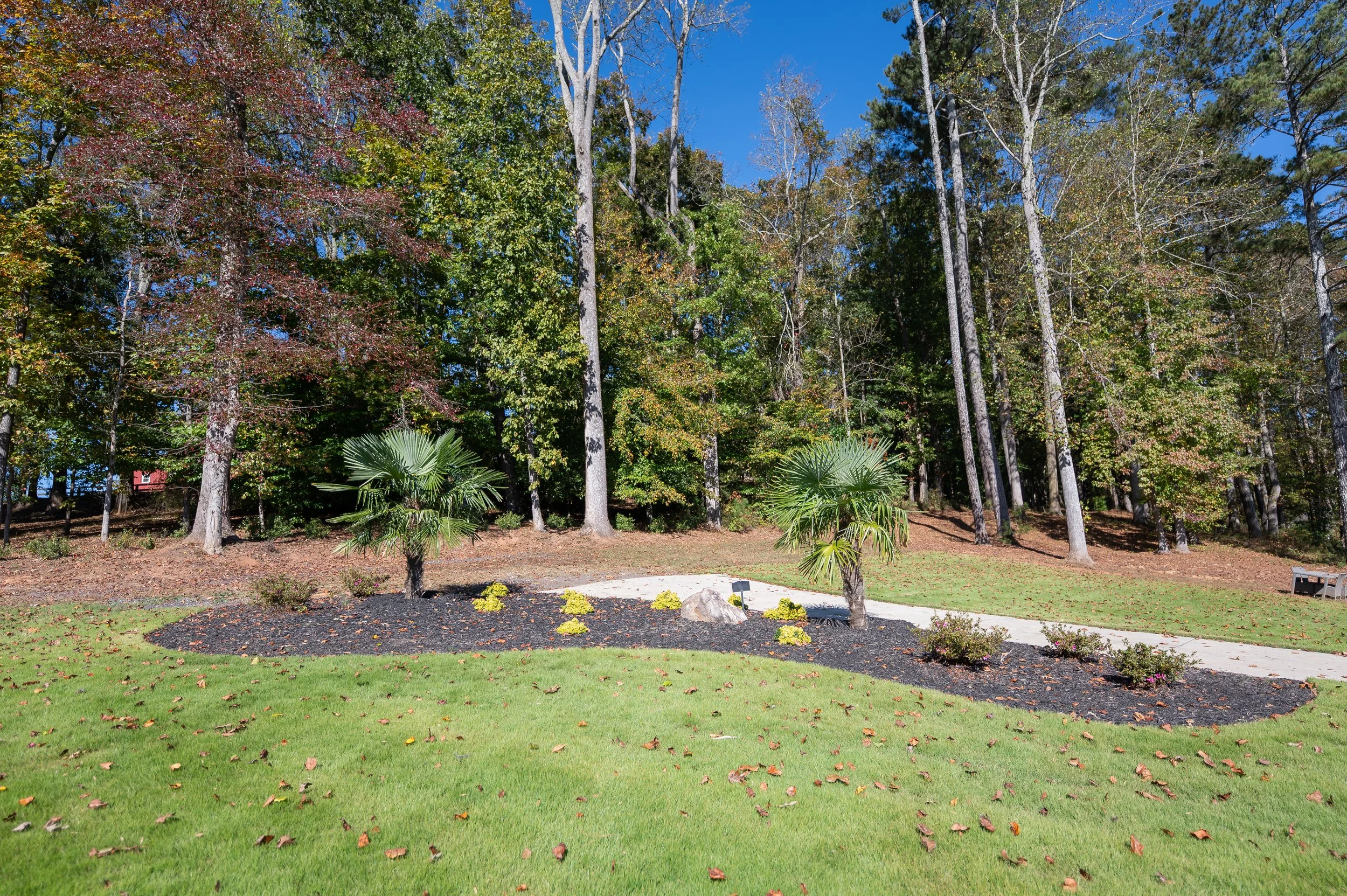 10-23-25 Film & Photos (23 of 32).jpeg