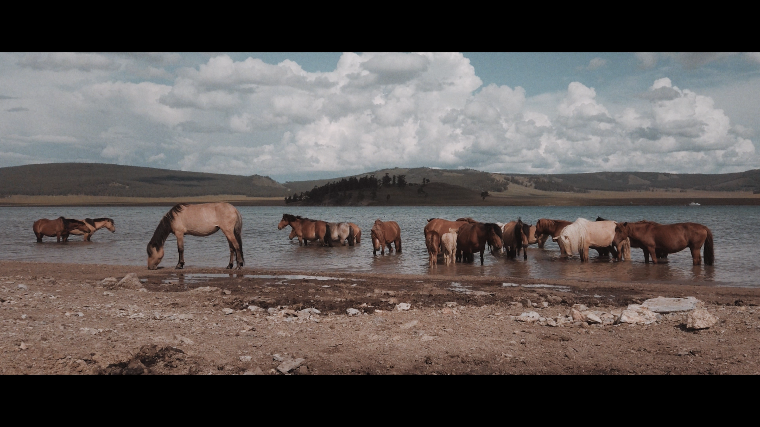 Snímek obrazovky 2020-04-23 v 14.17.46.png