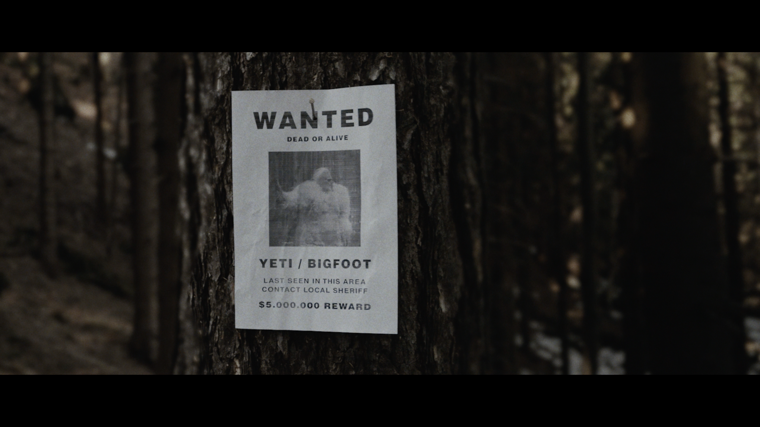 Snímek obrazovky 2020-07-14 v 2.12.08.png