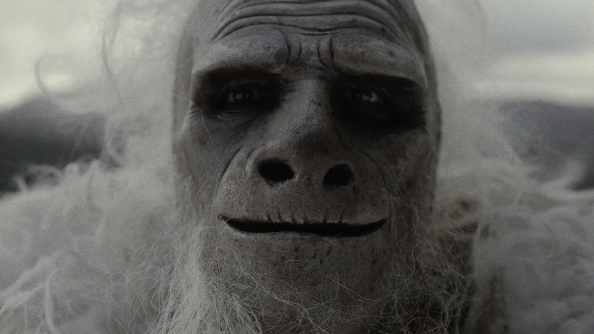 "FREE AGAIN" / ARMADA