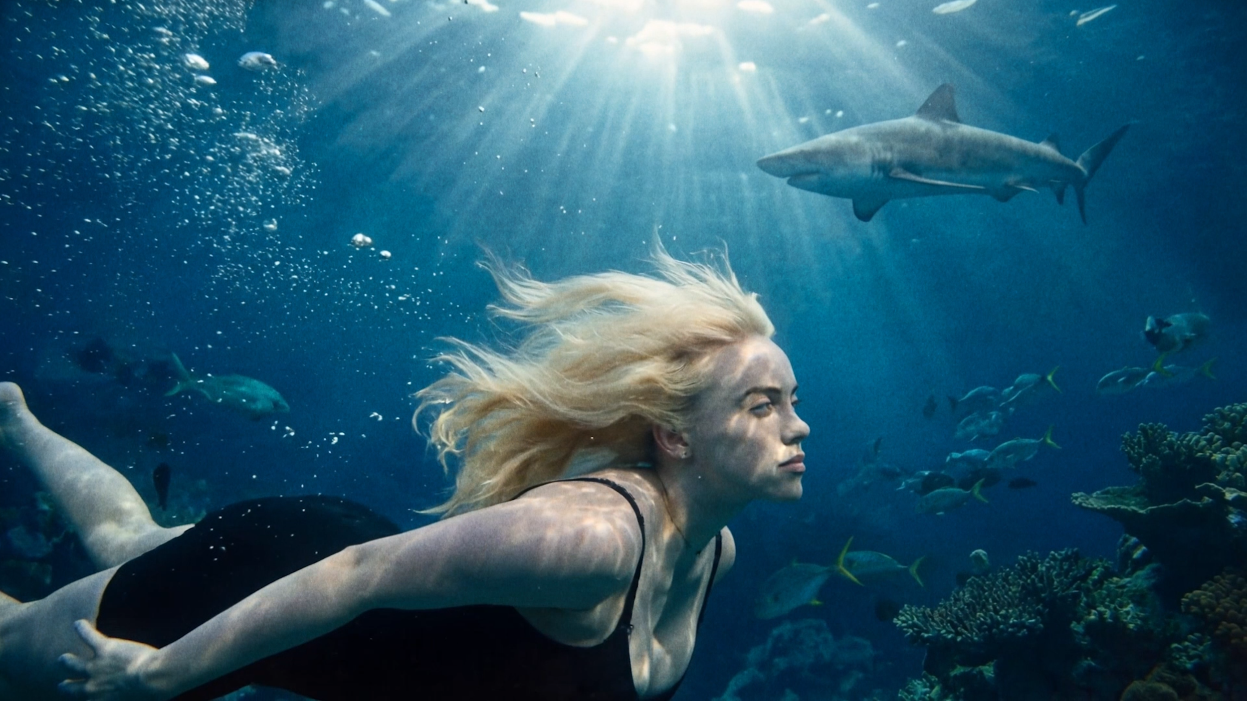 Snímek obrazovky 2025-12-21 v 5.18.43.png