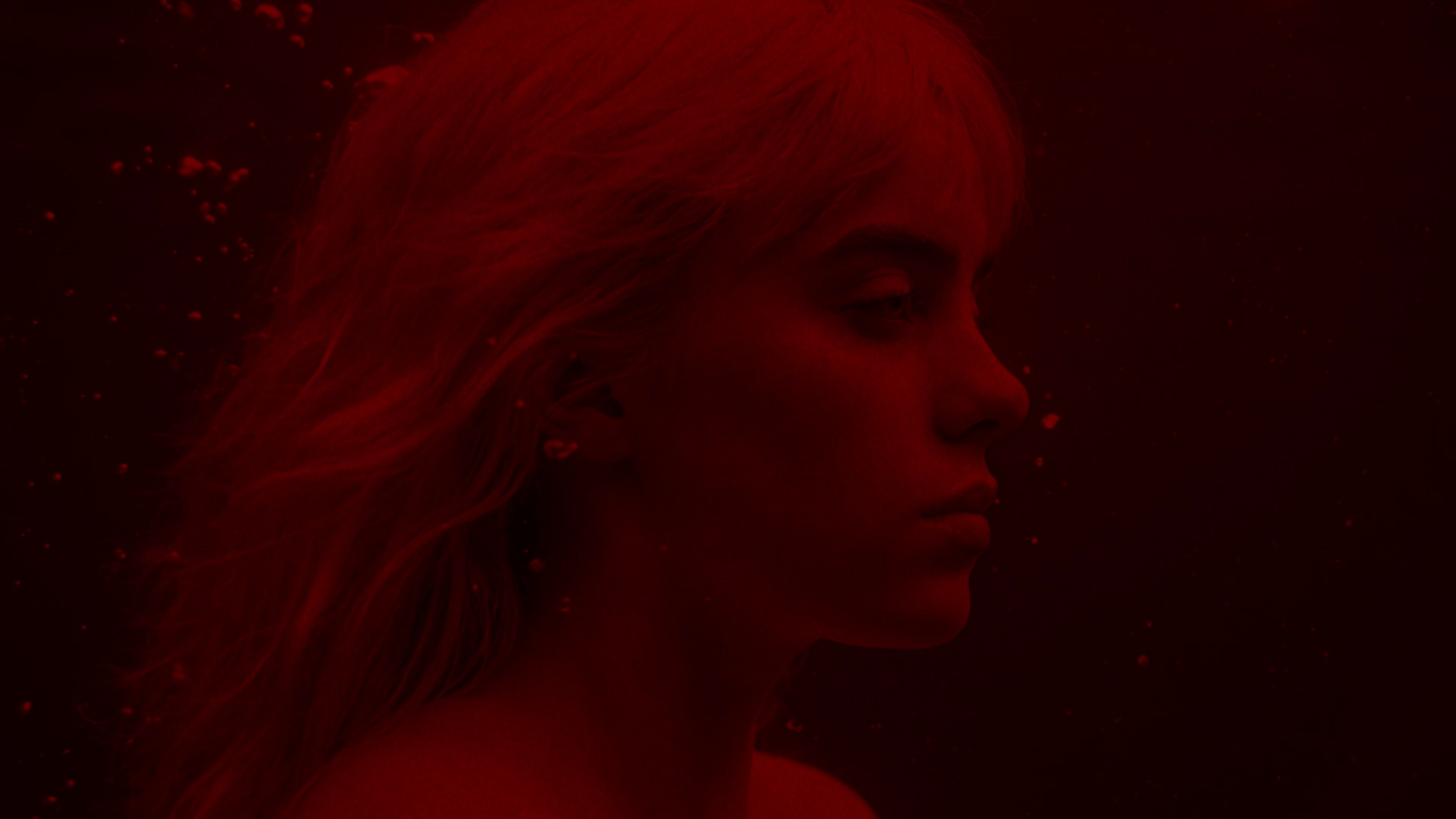 Snímek obrazovky 2025-12-20 v 21.26.43.png