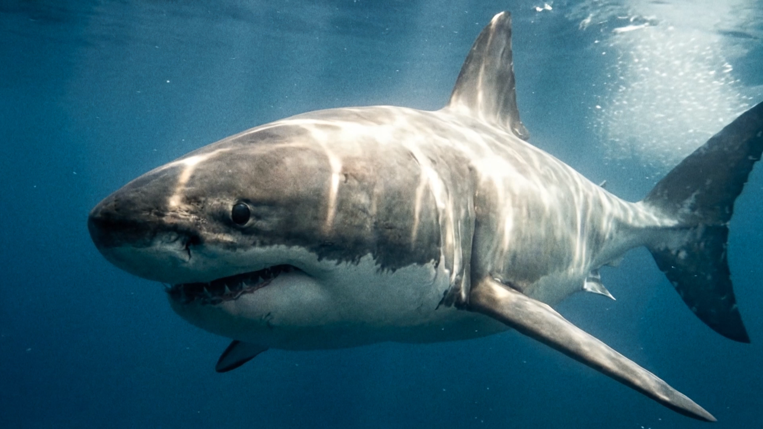 Snímek obrazovky 2025-12-20 v 21.18.02.png