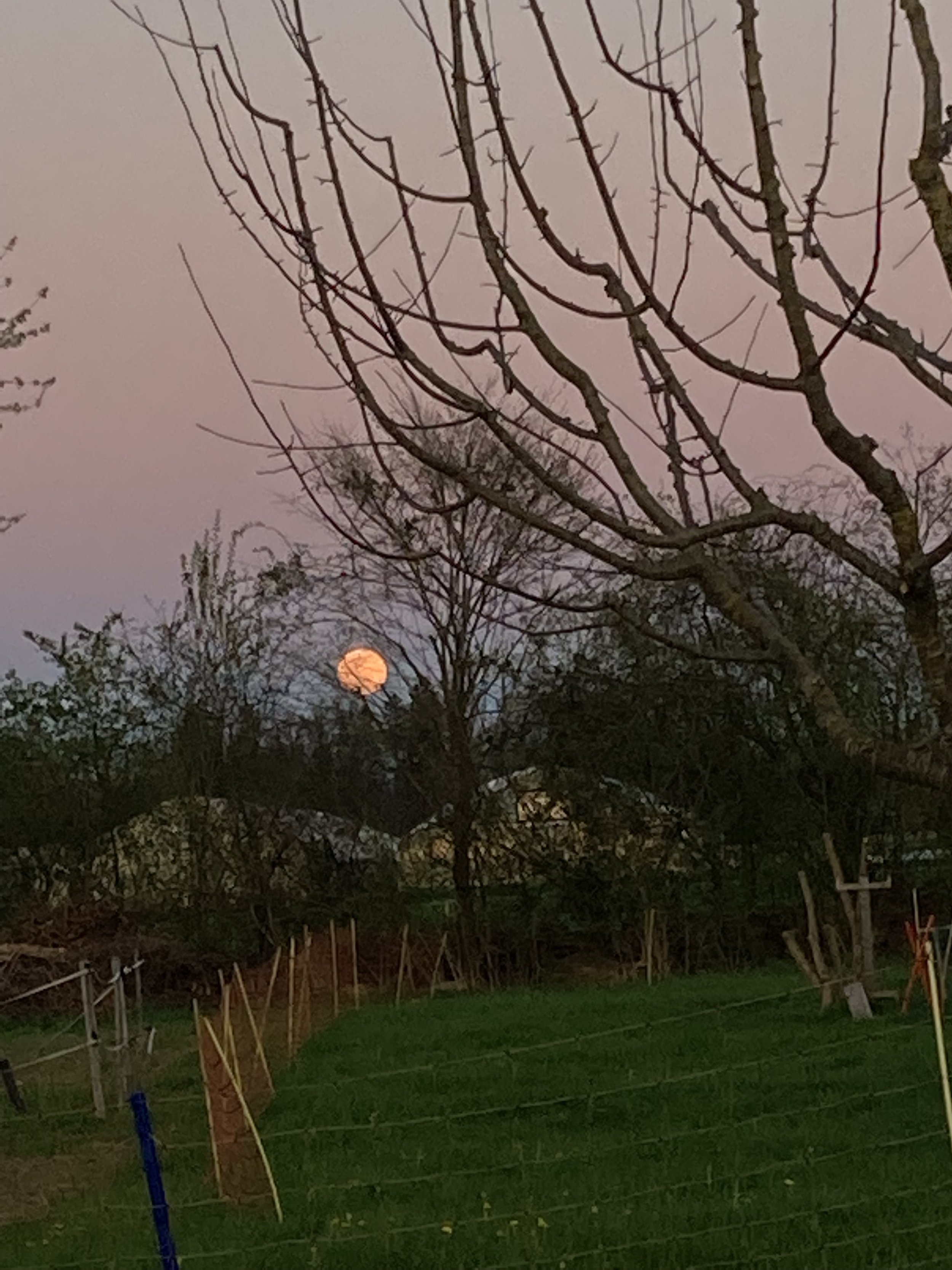Miese Bise und Ostermond