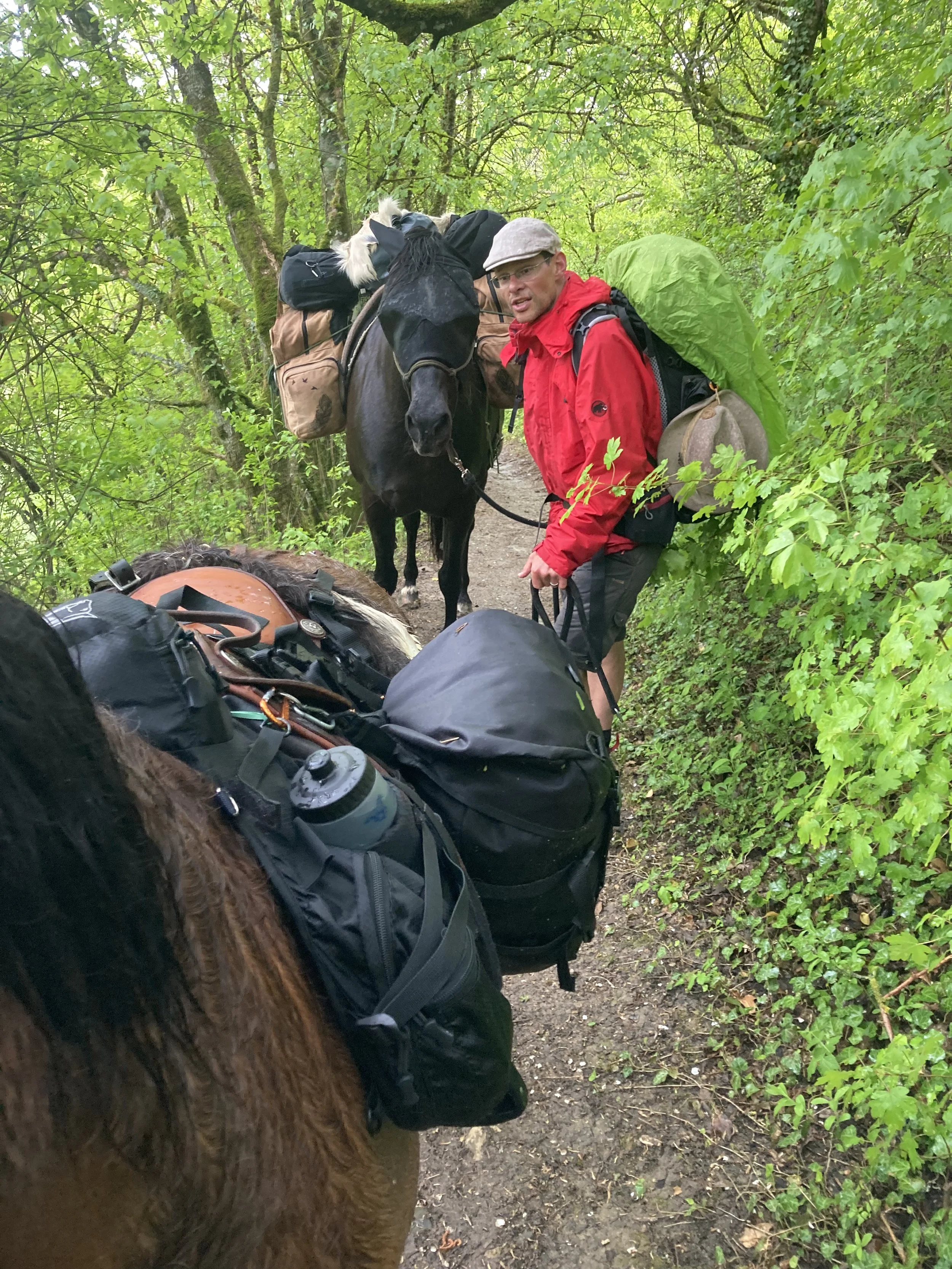 Auf Abwegen am Hohenhewen