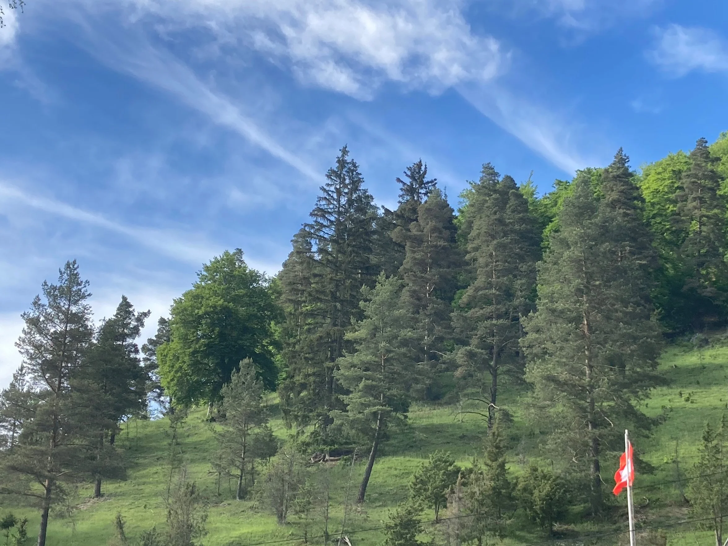 Wiedersehen mit Hindernissen in Little Engadin