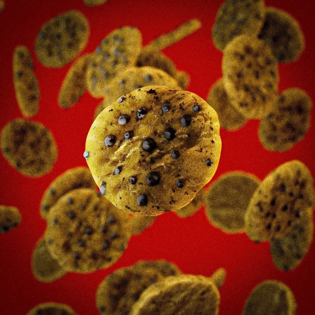 Chocolate Chip Cookie

#3DRender #C4D #ZBrush #Redshift #3DArt #dailyrender