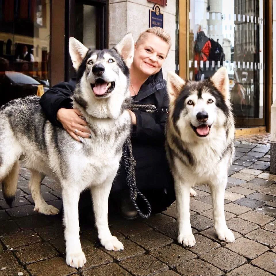 Throwback to three years ago in #Belfast: met some fluffy filmstars in person 🐺🐺 They&rsquo;re Thor &amp; Odin from #GameOfThrones!

Check out #FQgoesNI for our amazing adventures in Northern Ireland. Man, I miss that beautiful place! &hearts;️

#D