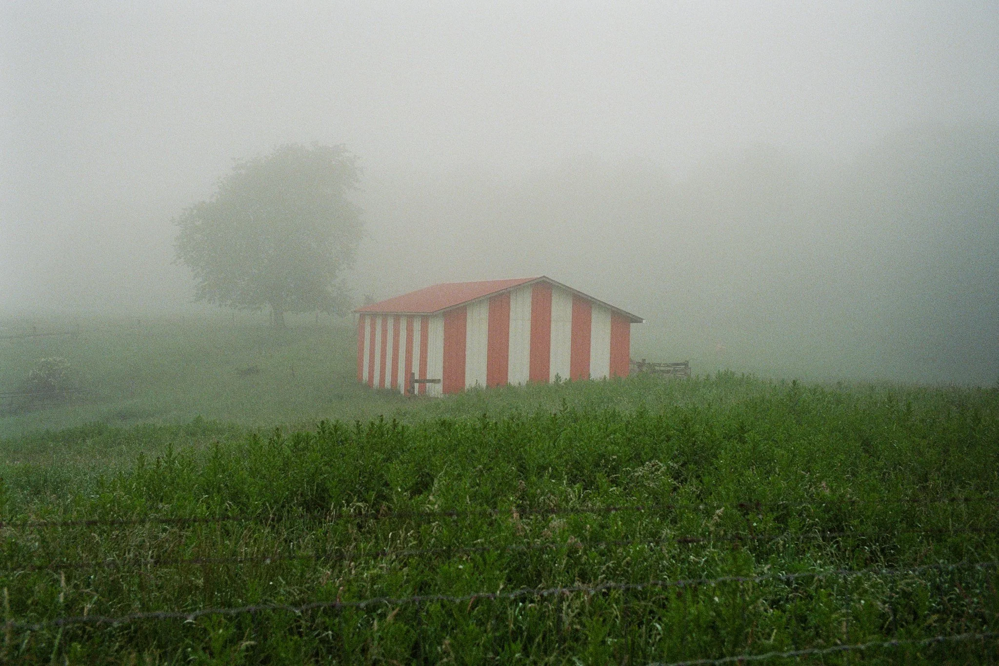 5671-05.jpg