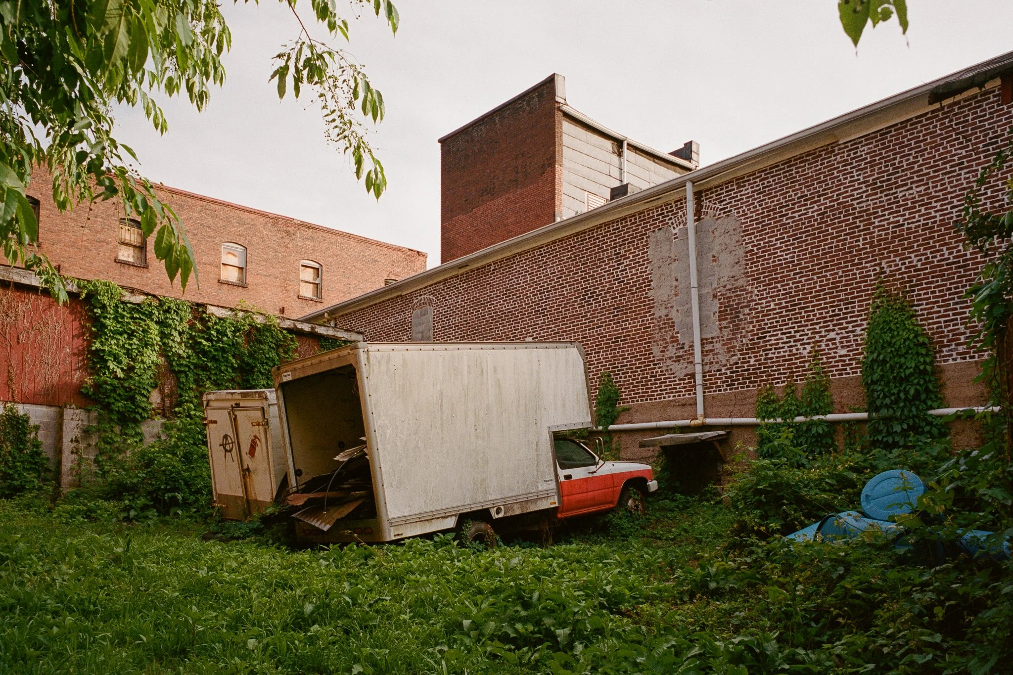 3893-19.jpg