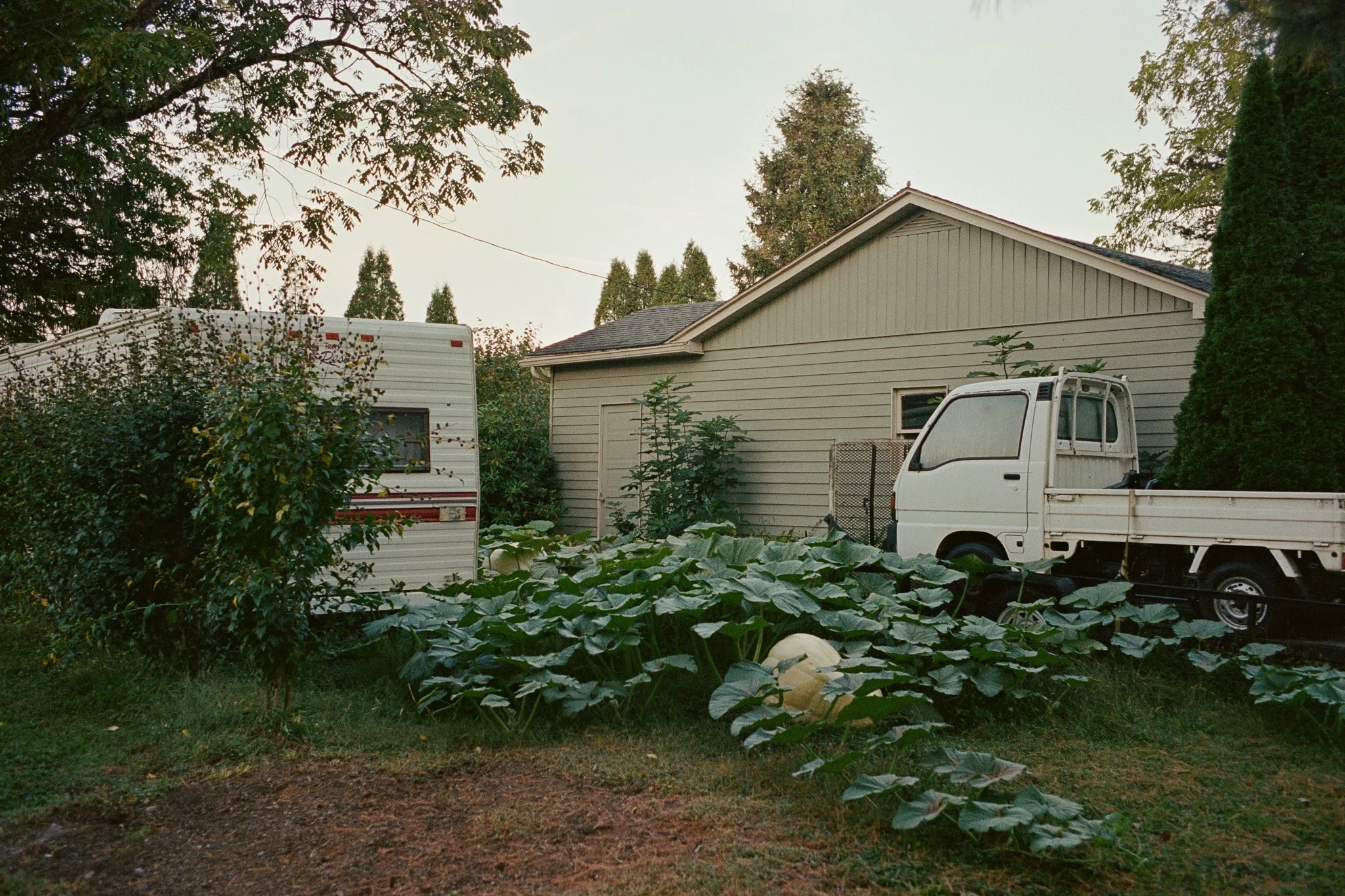 5074-08.jpg