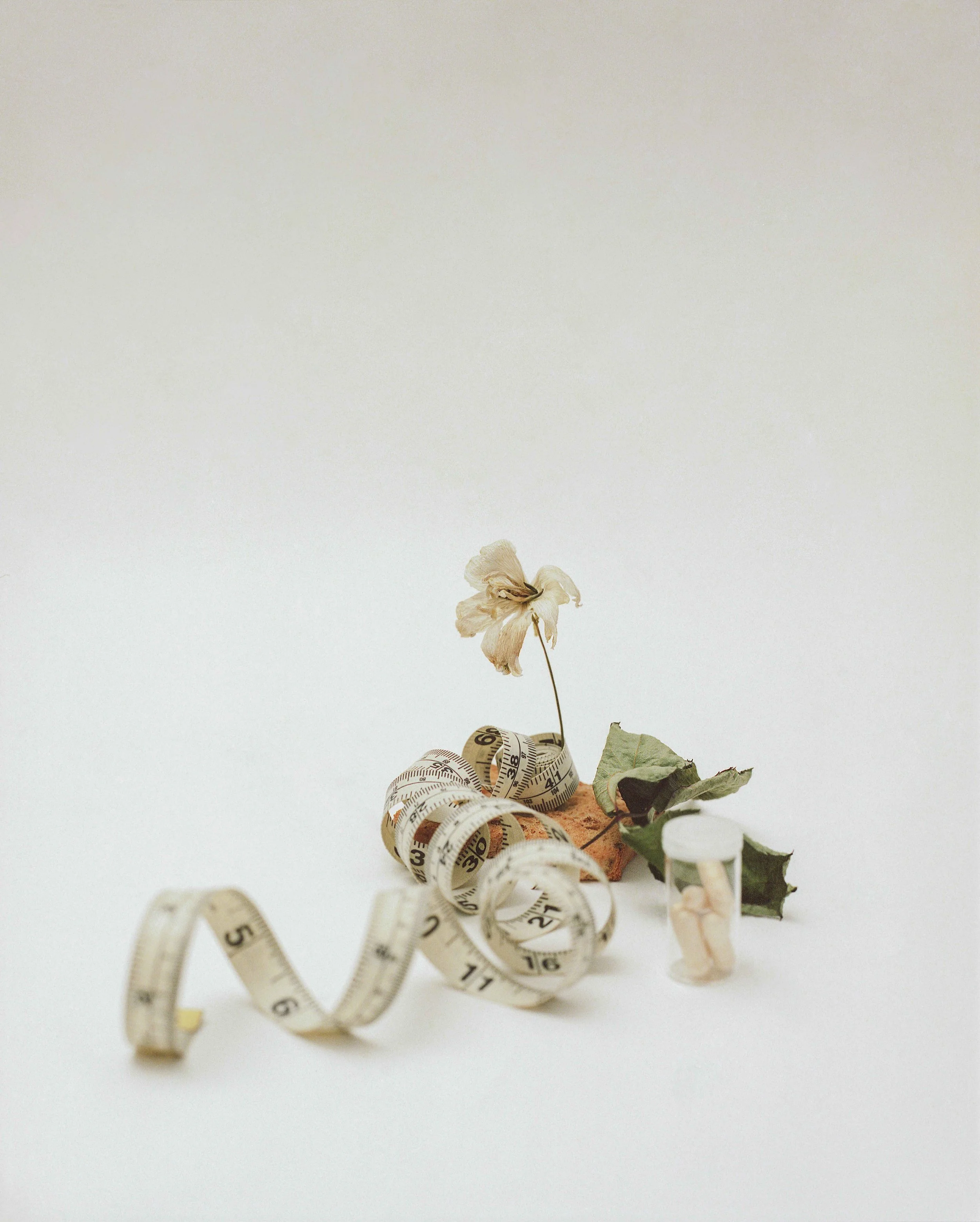 img014small.jpg (Copy)