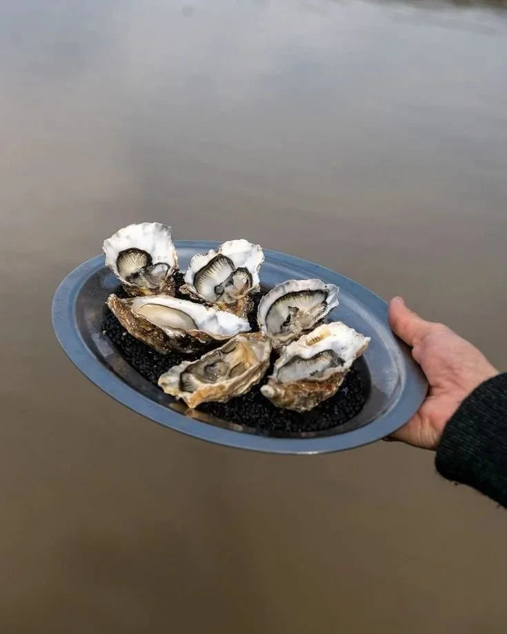 Vaisselle de seconde main pour ouverture de restaurant