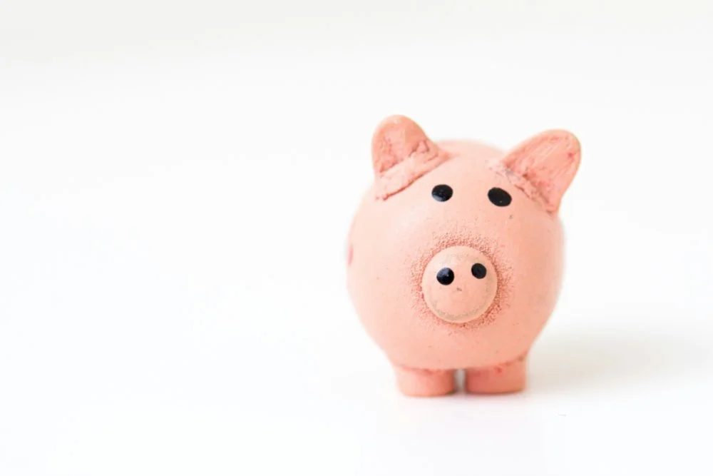 Squarespace Courses: iDEAL betalingen toevoegen