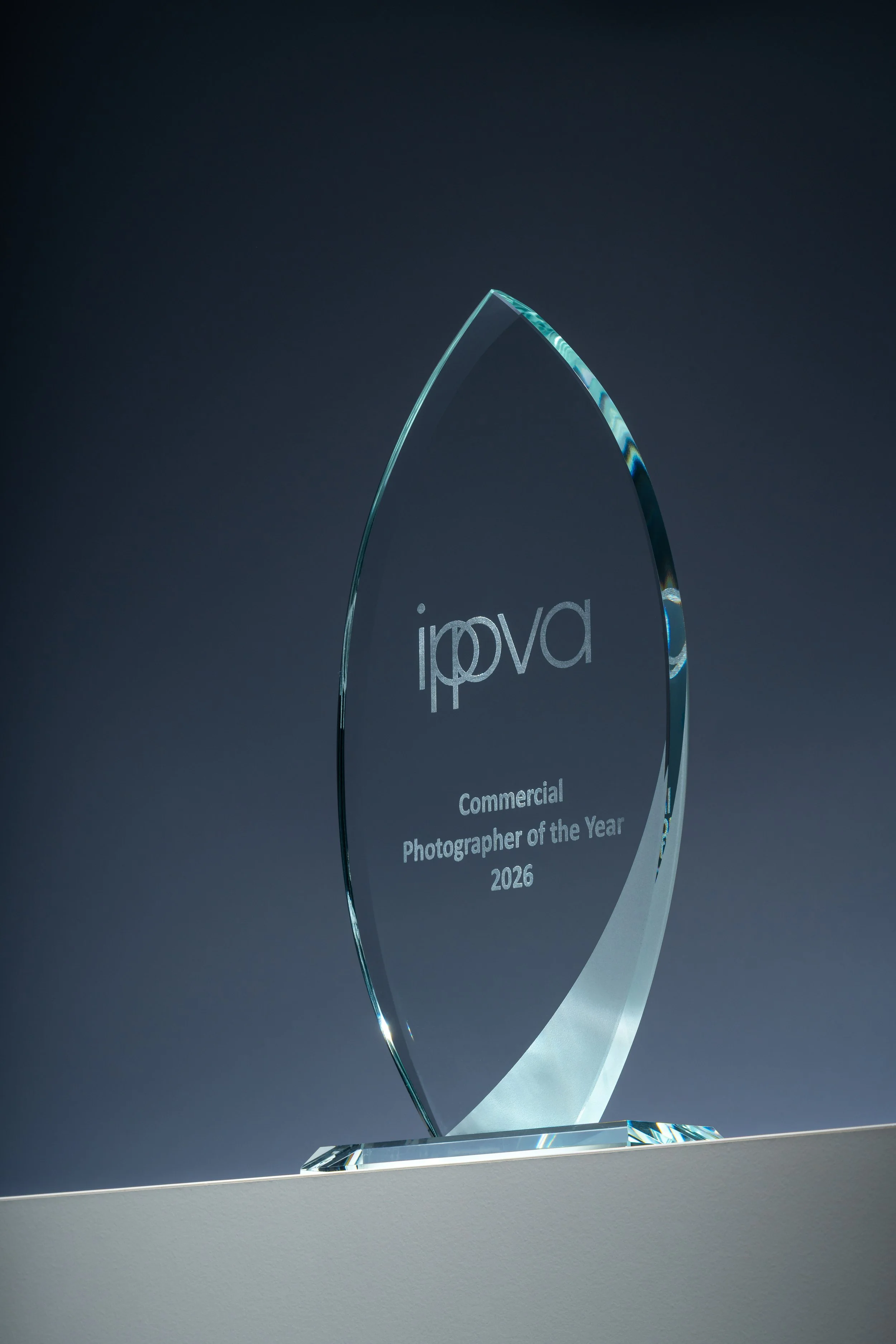 IPPVA-Awards-15.jpg