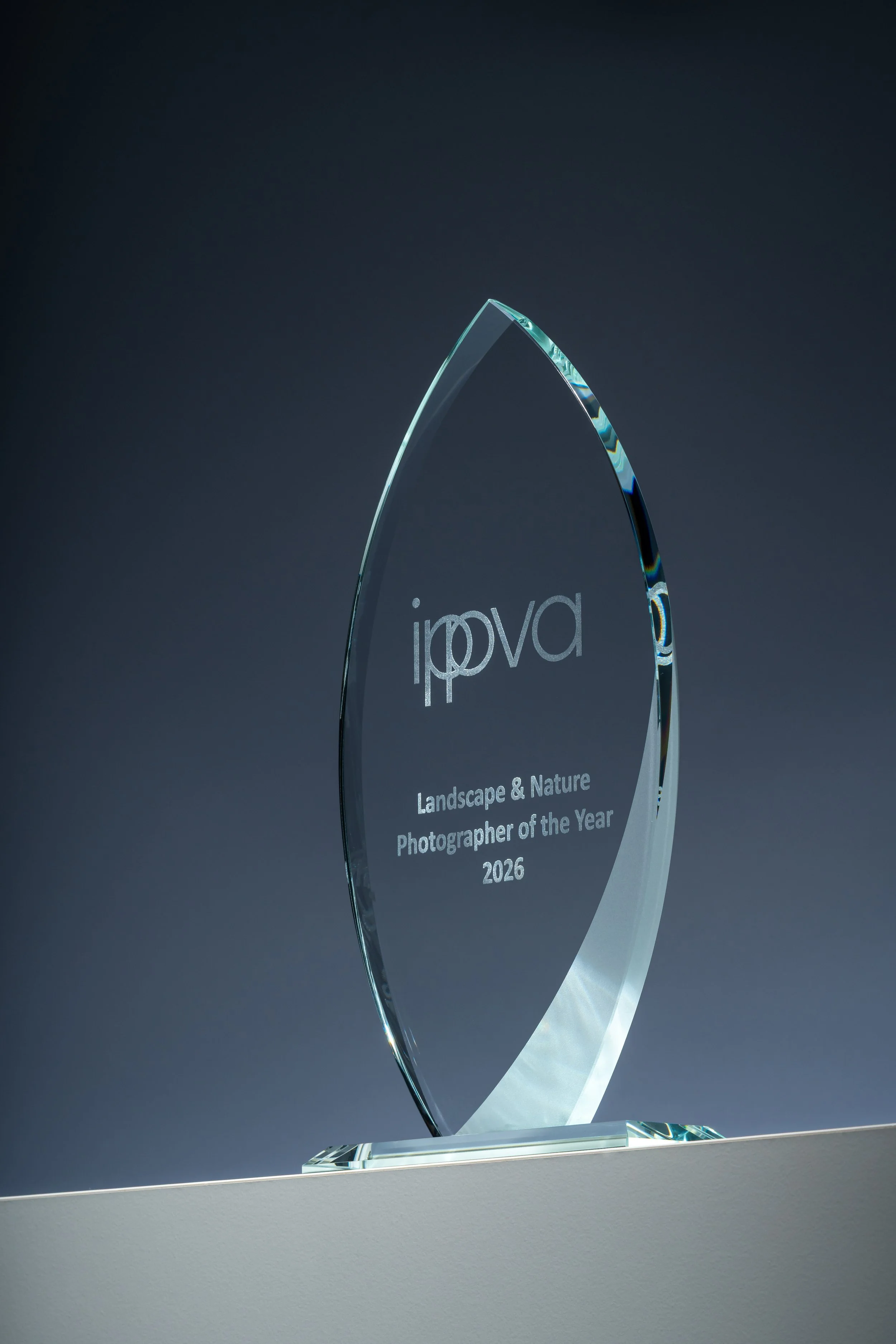 IPPVA-Awards-17.jpg