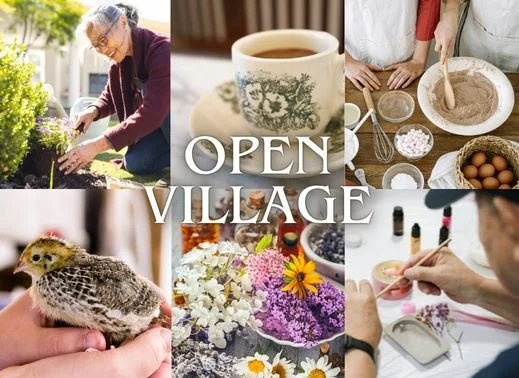 Open Village collage in a nursing home featuring senior-run minimart and kopitiam, outdoor vegetable and herbal farming, quails, aquaponics, and community workshops with volunteers and student