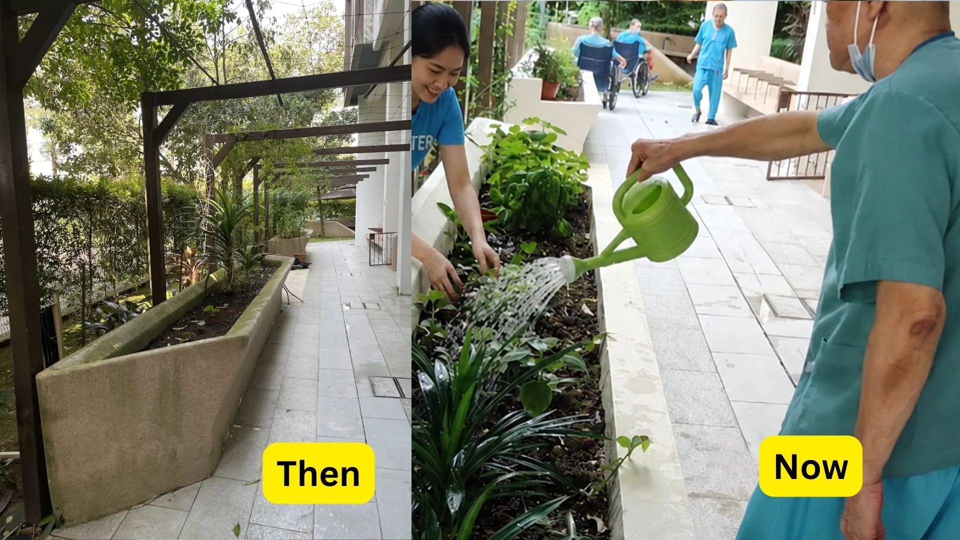 Open village seniors and volunteers do gardening